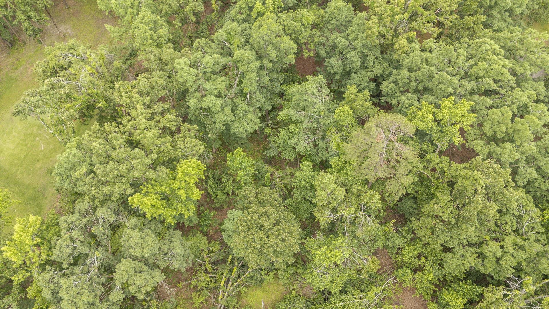 Lot 528 Masters Ct Property Photo 24