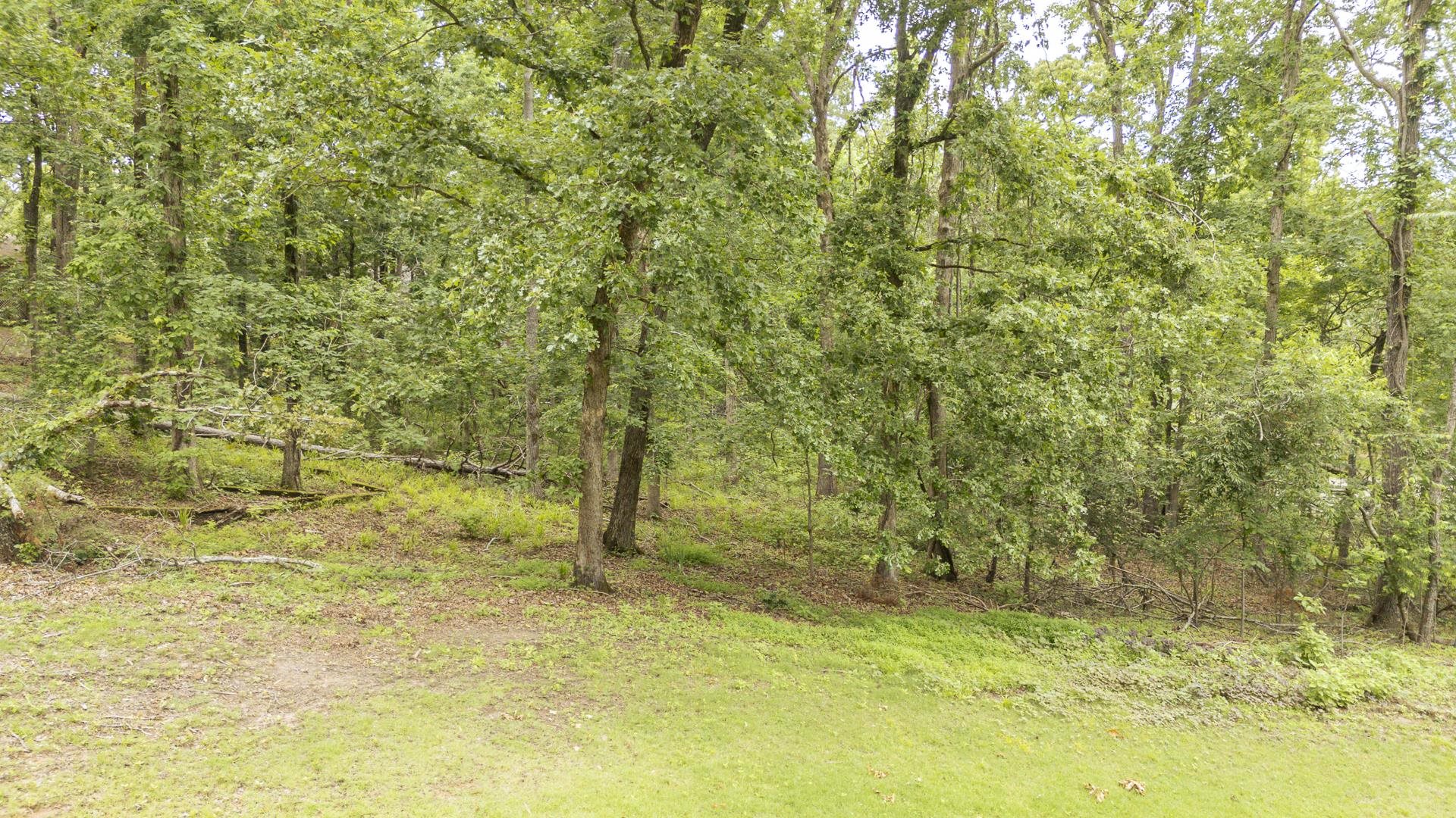 Lot 528 Masters Ct Property Photo 30