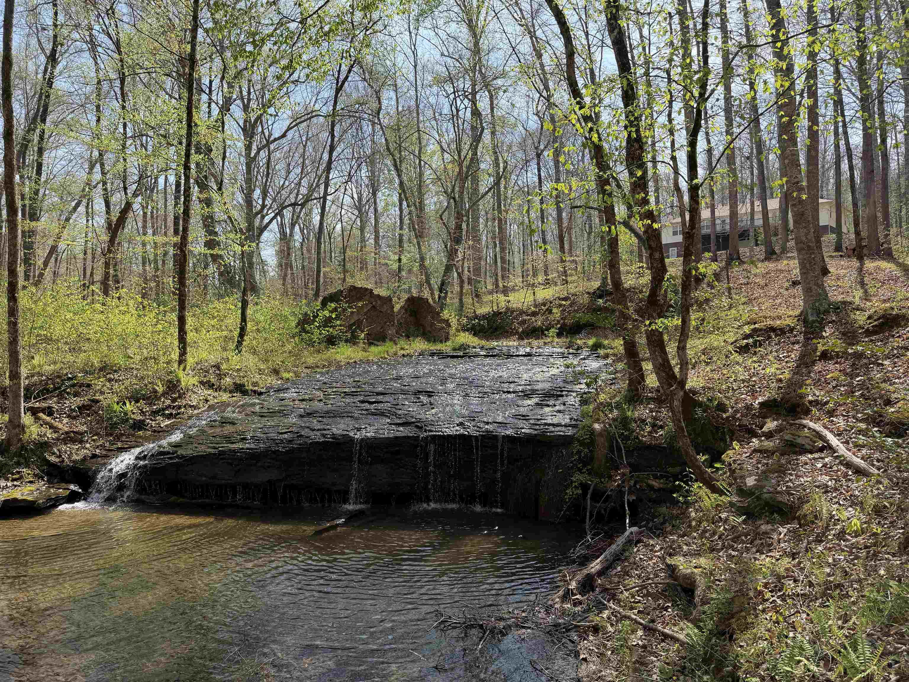 2411 Keazey Hollow Rd Property Photo 32