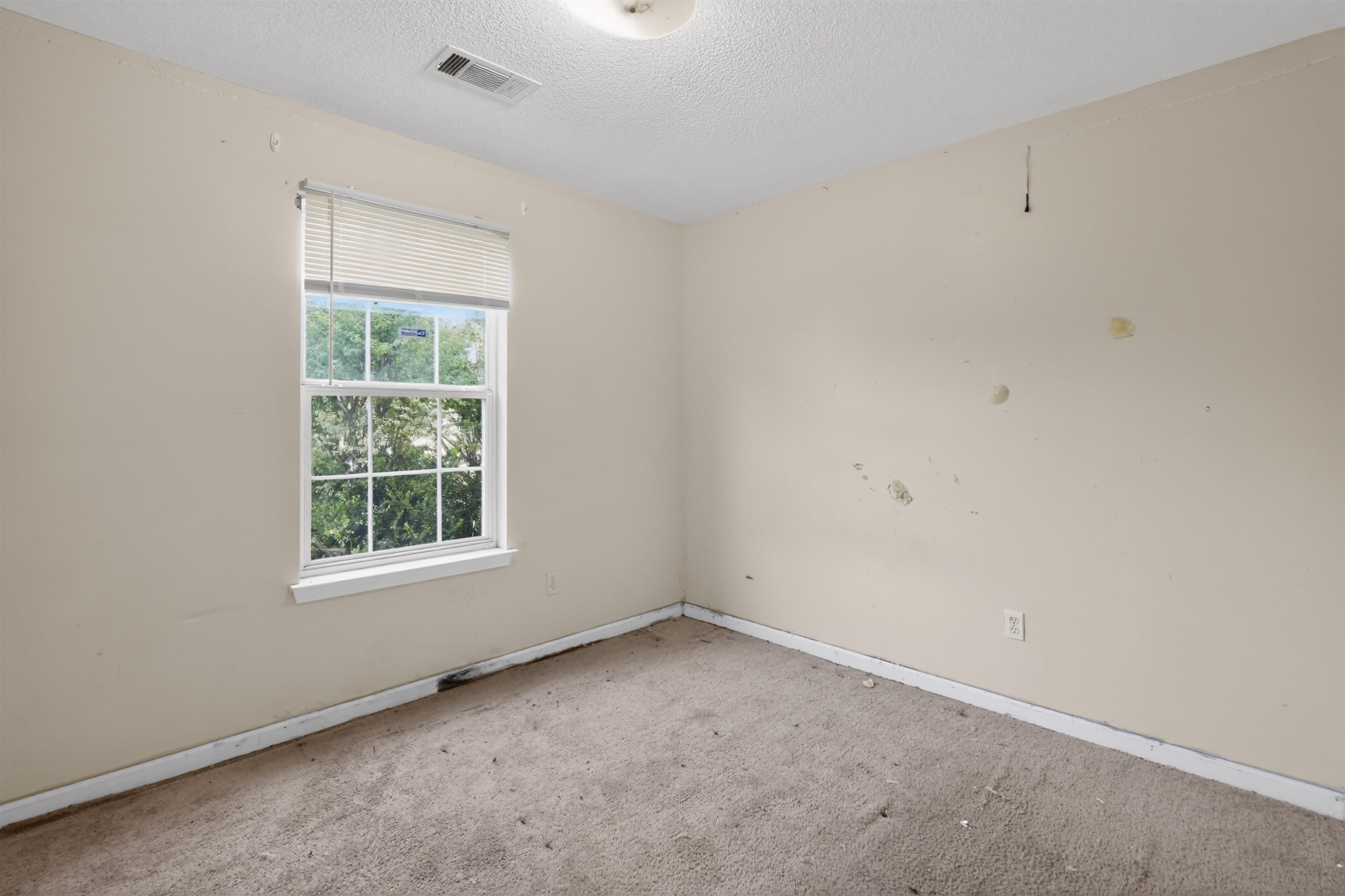37 New Haven Cv Property Photo 6