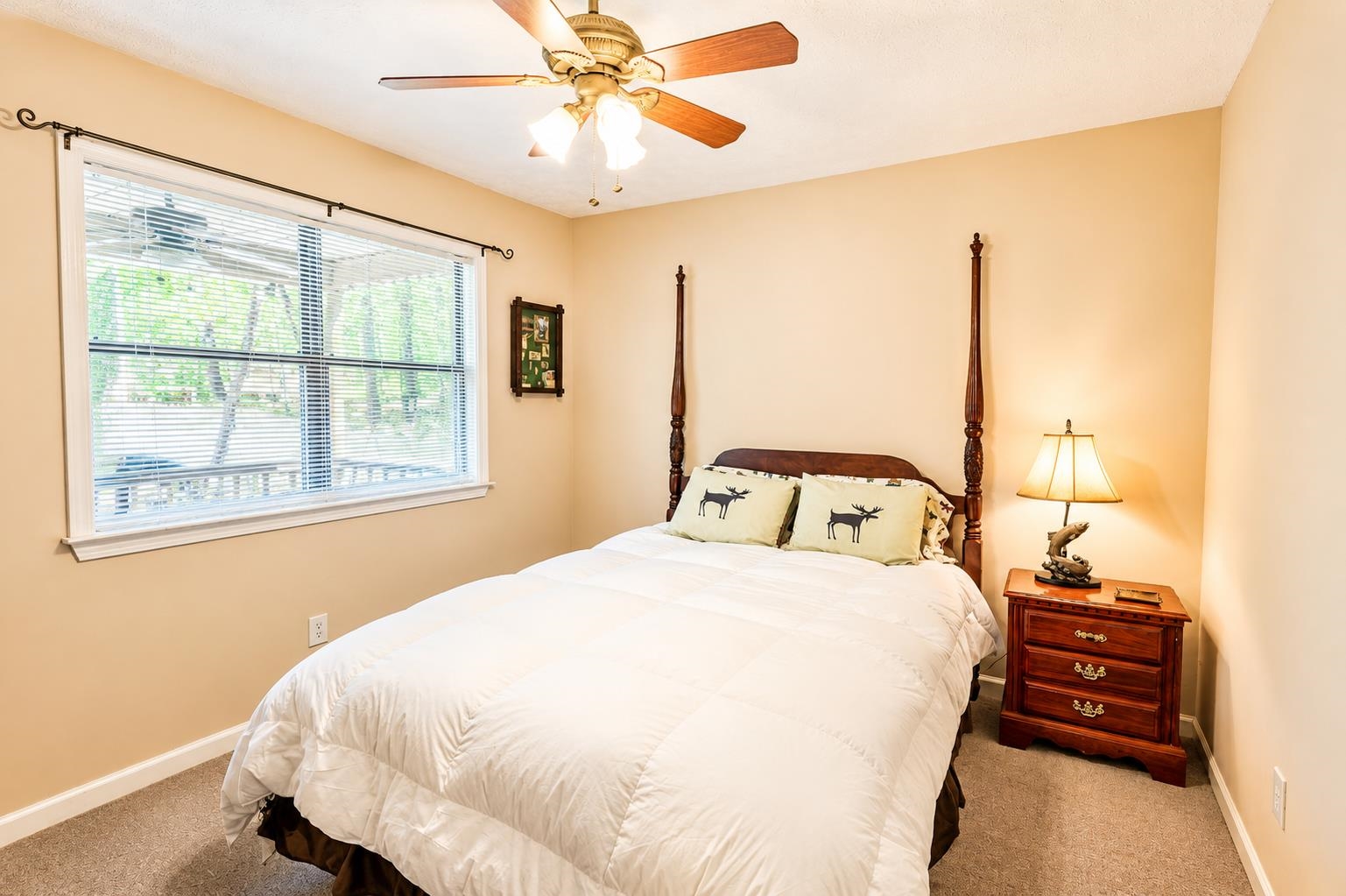 215 L Sealy Cv Property Photo 14