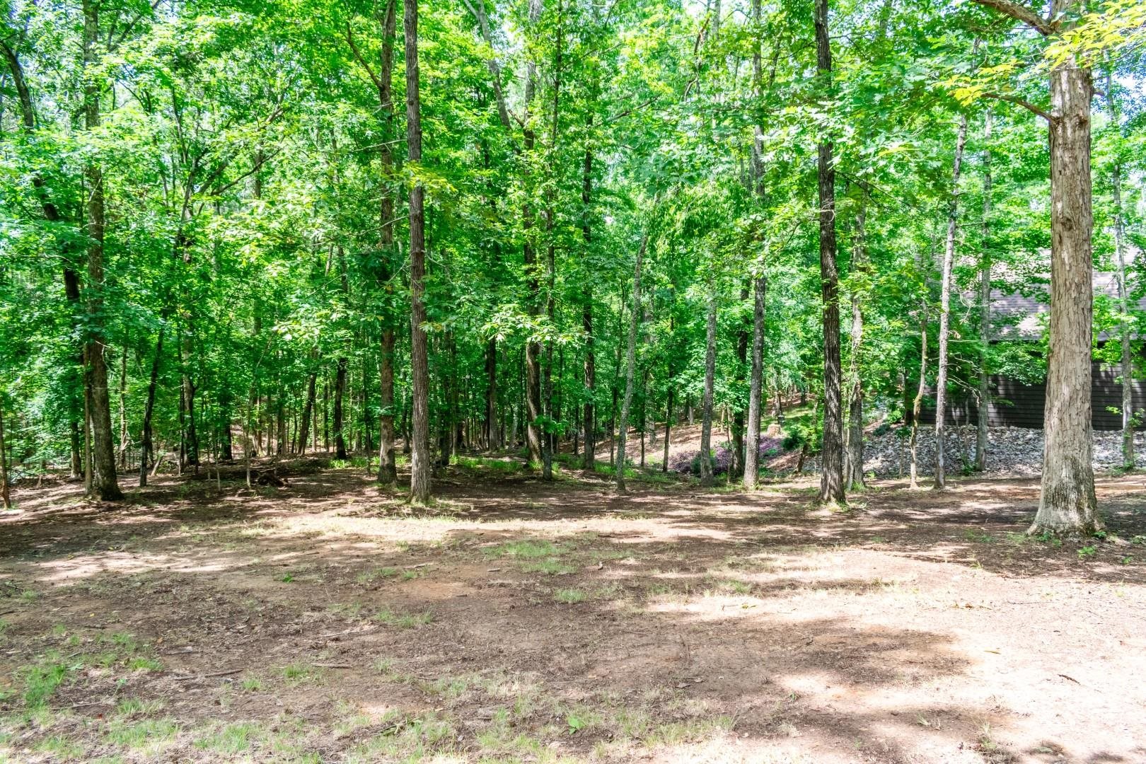 215 L Sealy Cv Property Photo 30