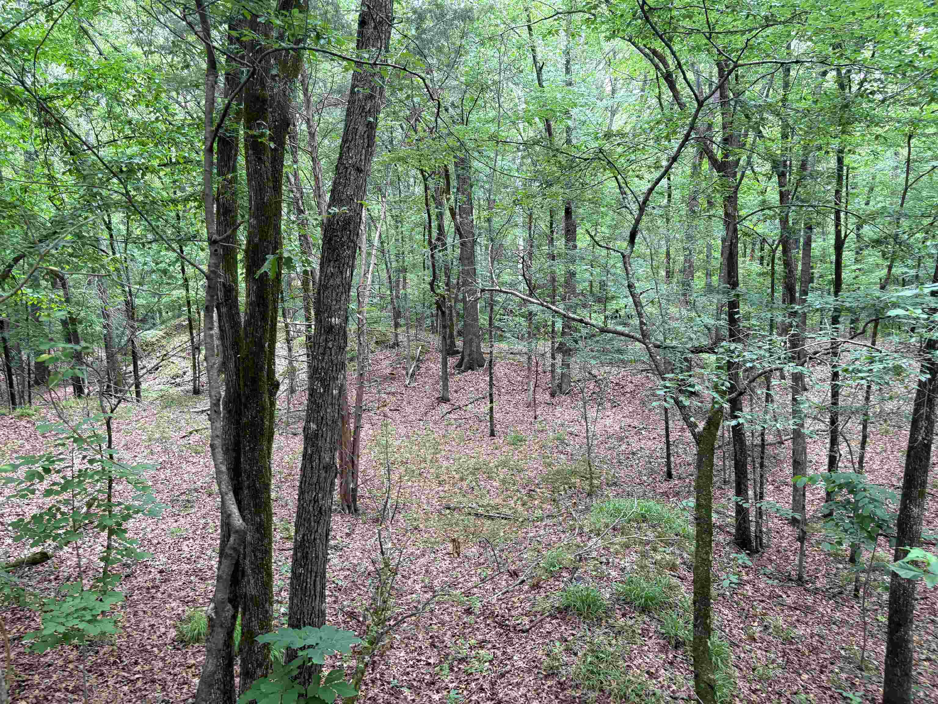 0 Rocky Point Rd Property Photo 3