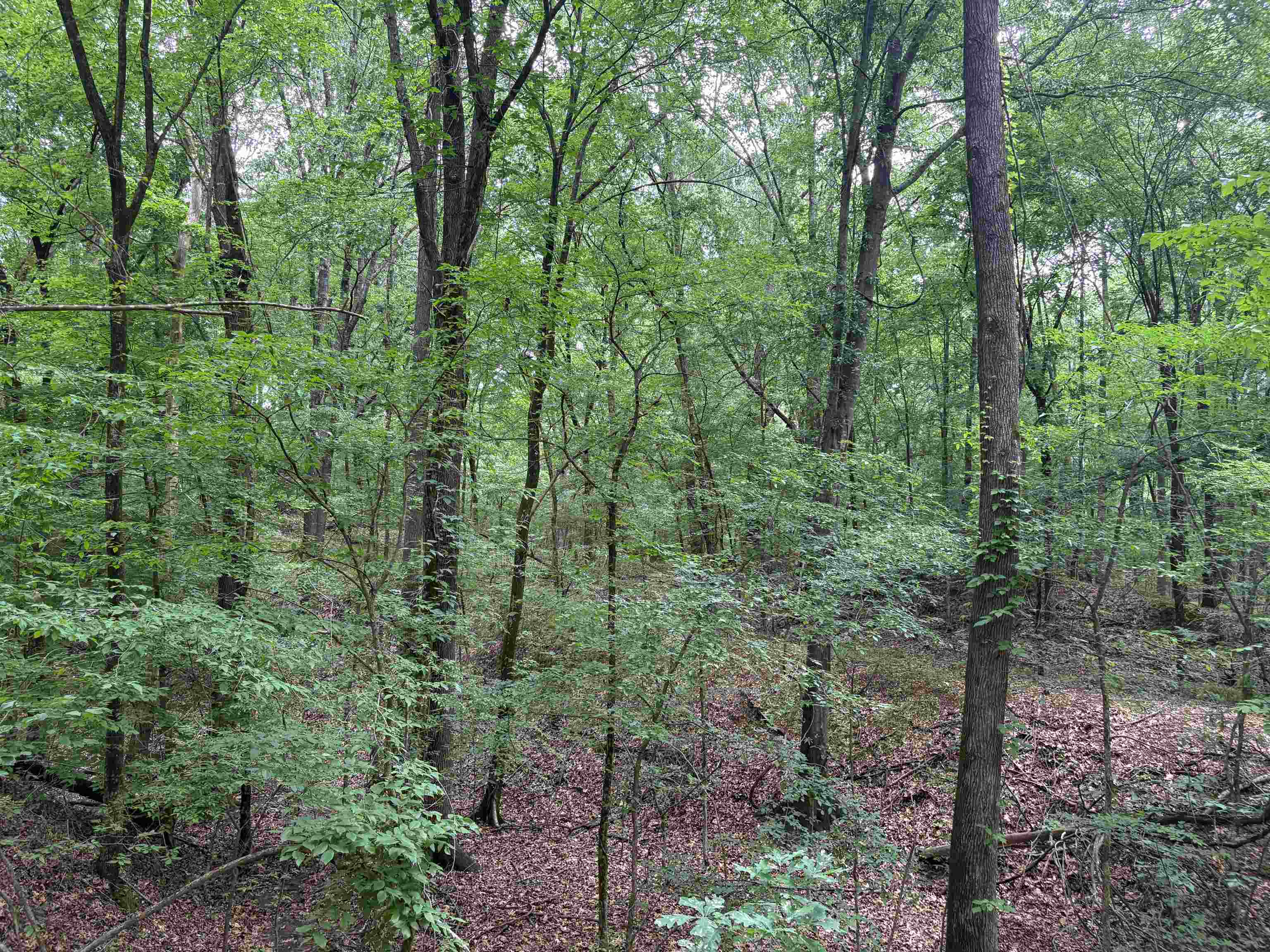 0 Rocky Point Rd Property Photo 4