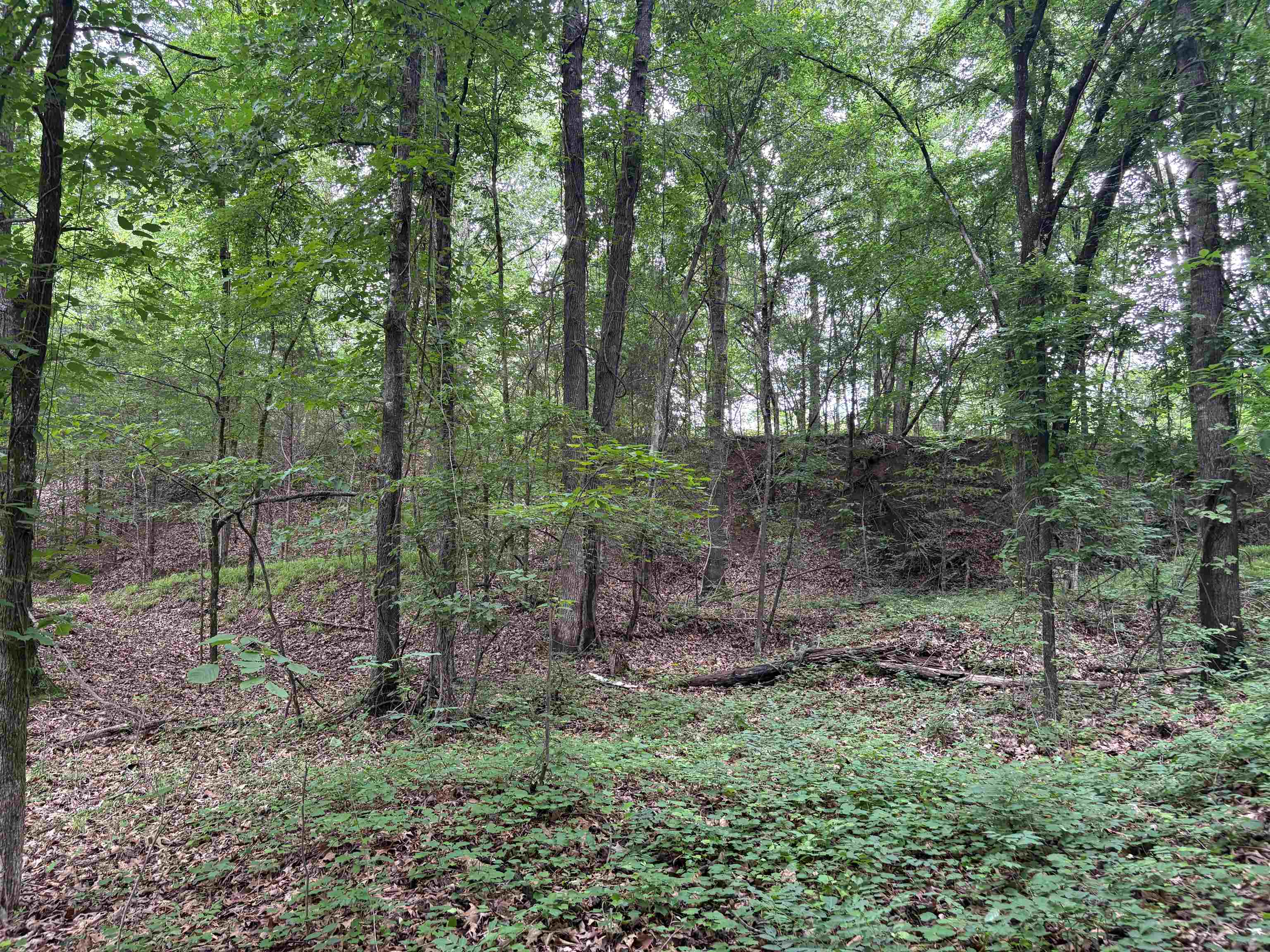 0 Rocky Point Rd Property Photo 8
