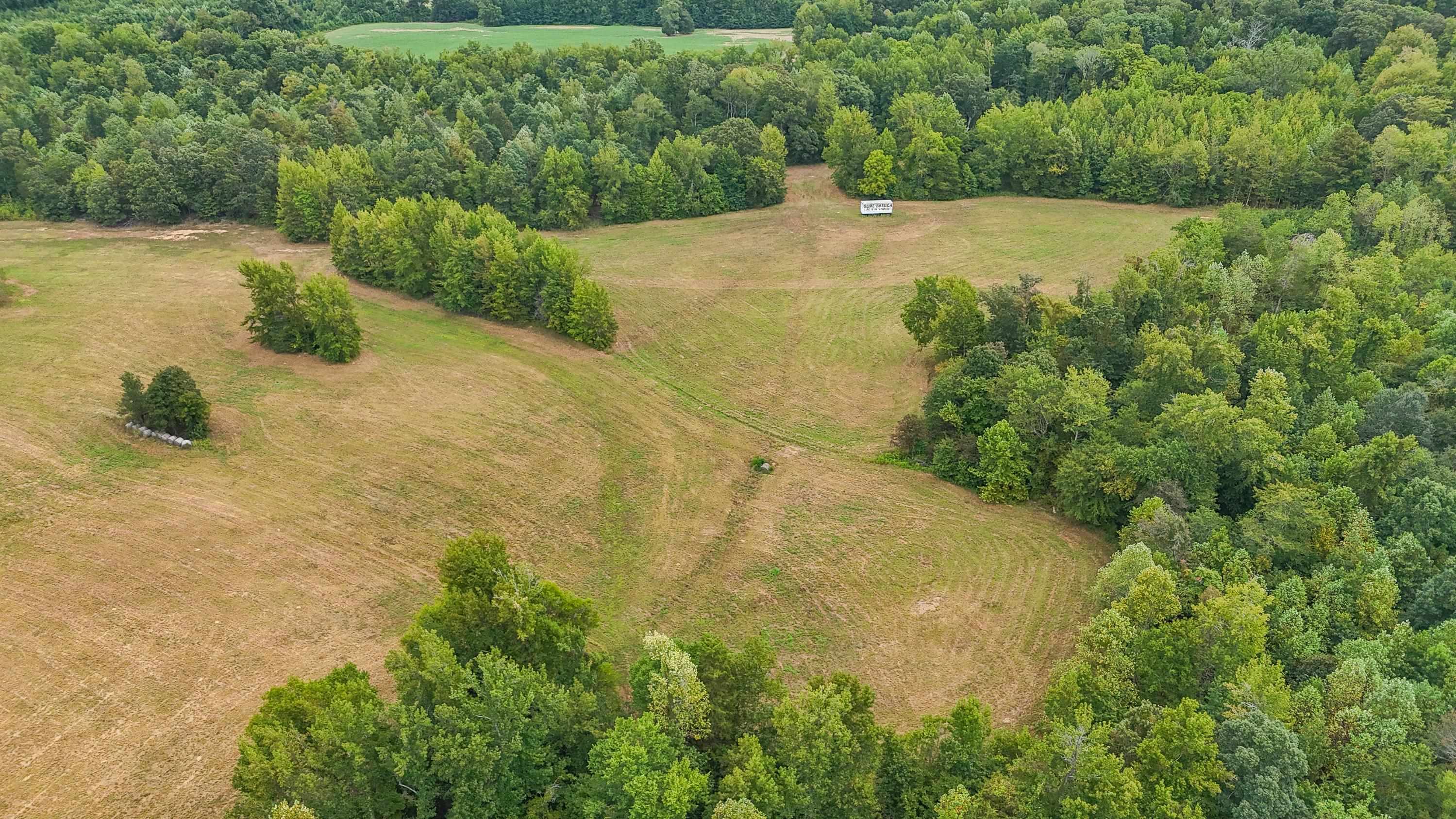 641 Hwy N Property Photo 19