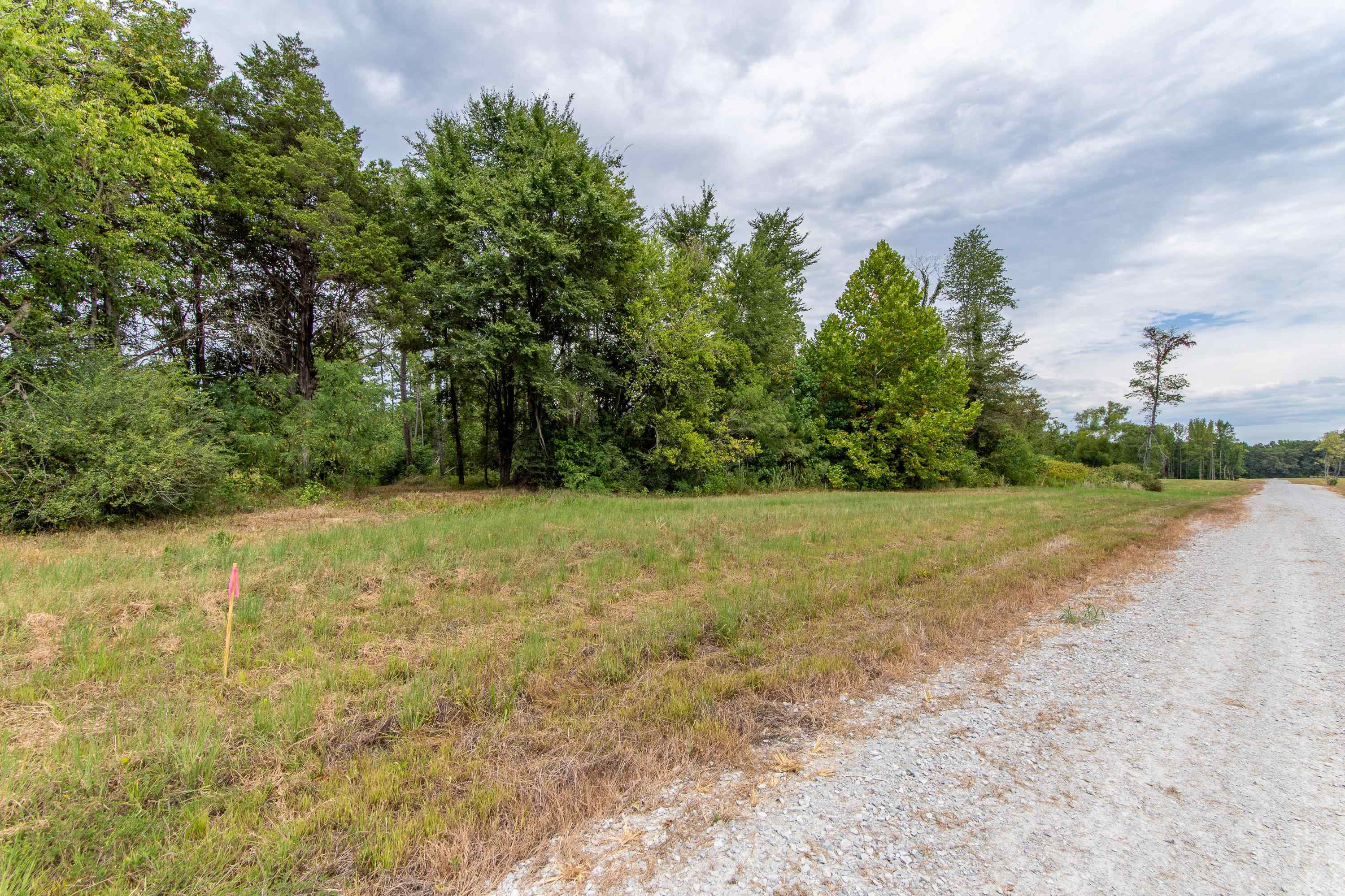 641 Hwy N Property Photo 23