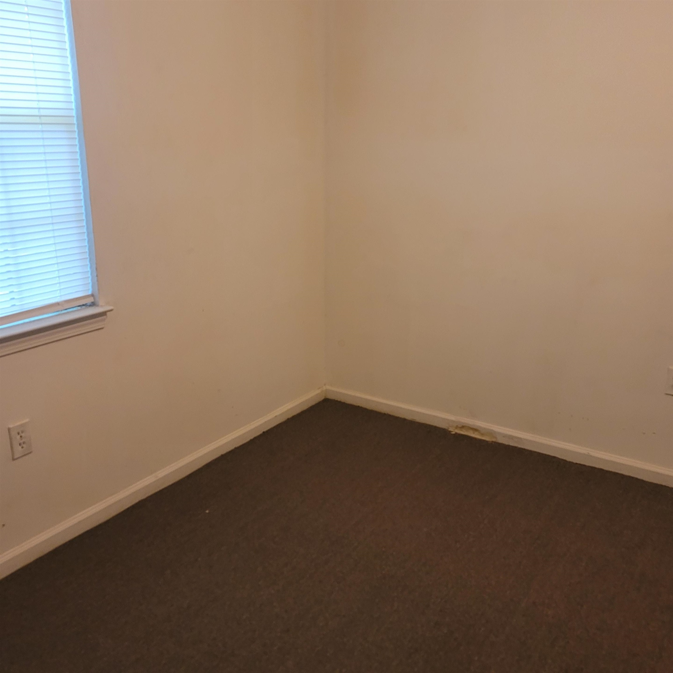 2331 Dexter Ave Property Photo 5