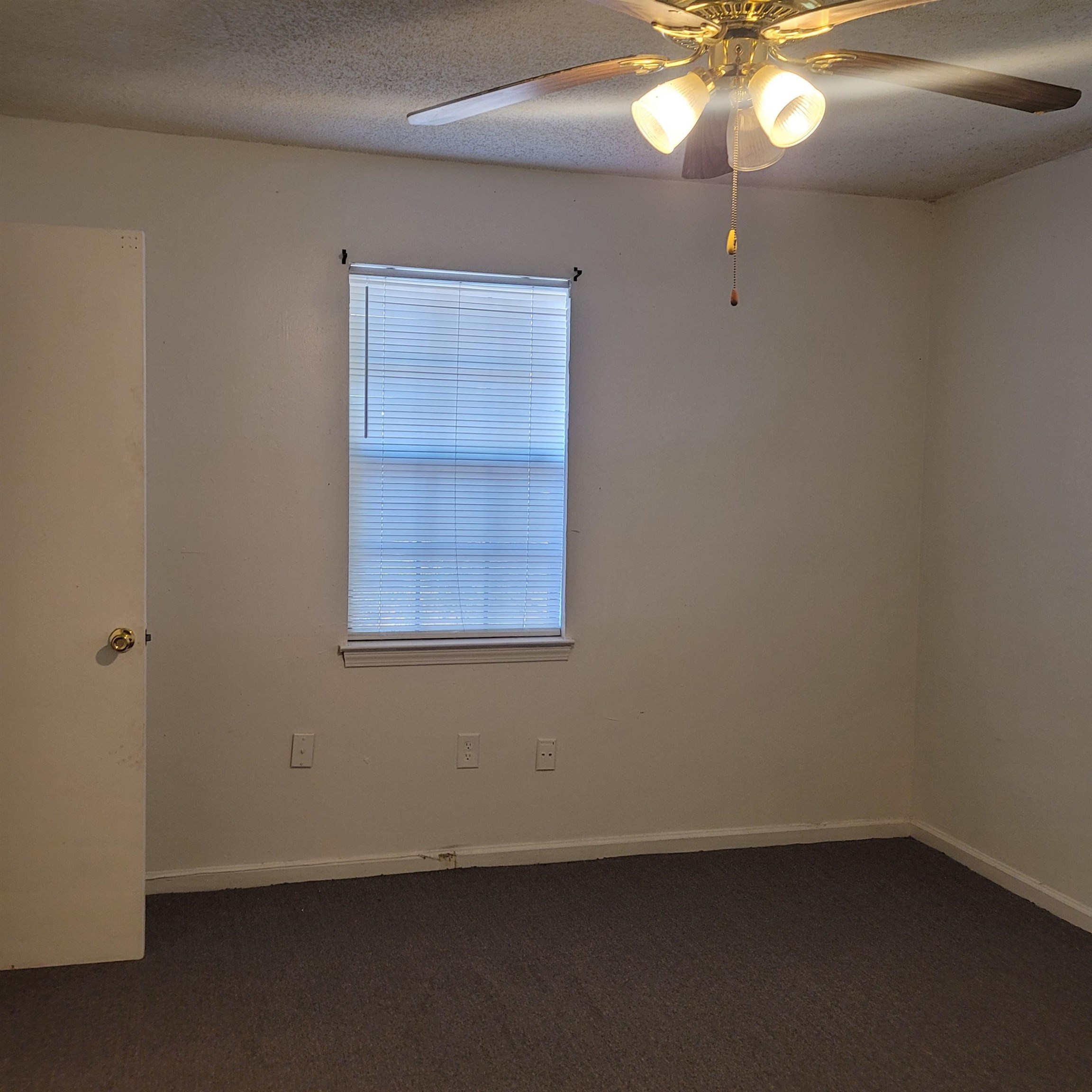 2331 Dexter Ave Property Photo 6