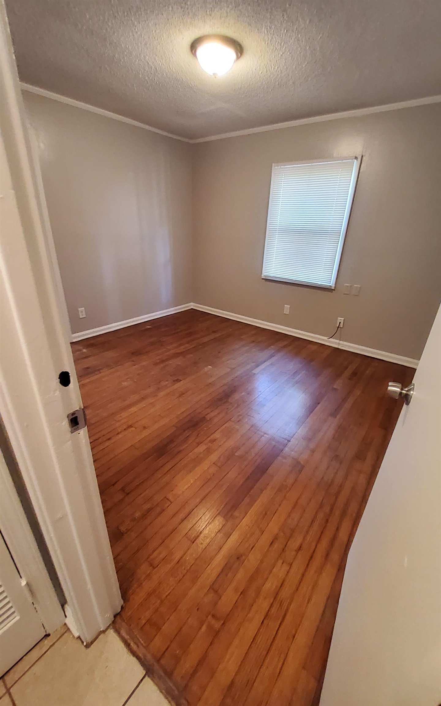 1771 Tahiti Ln Property Photo 15