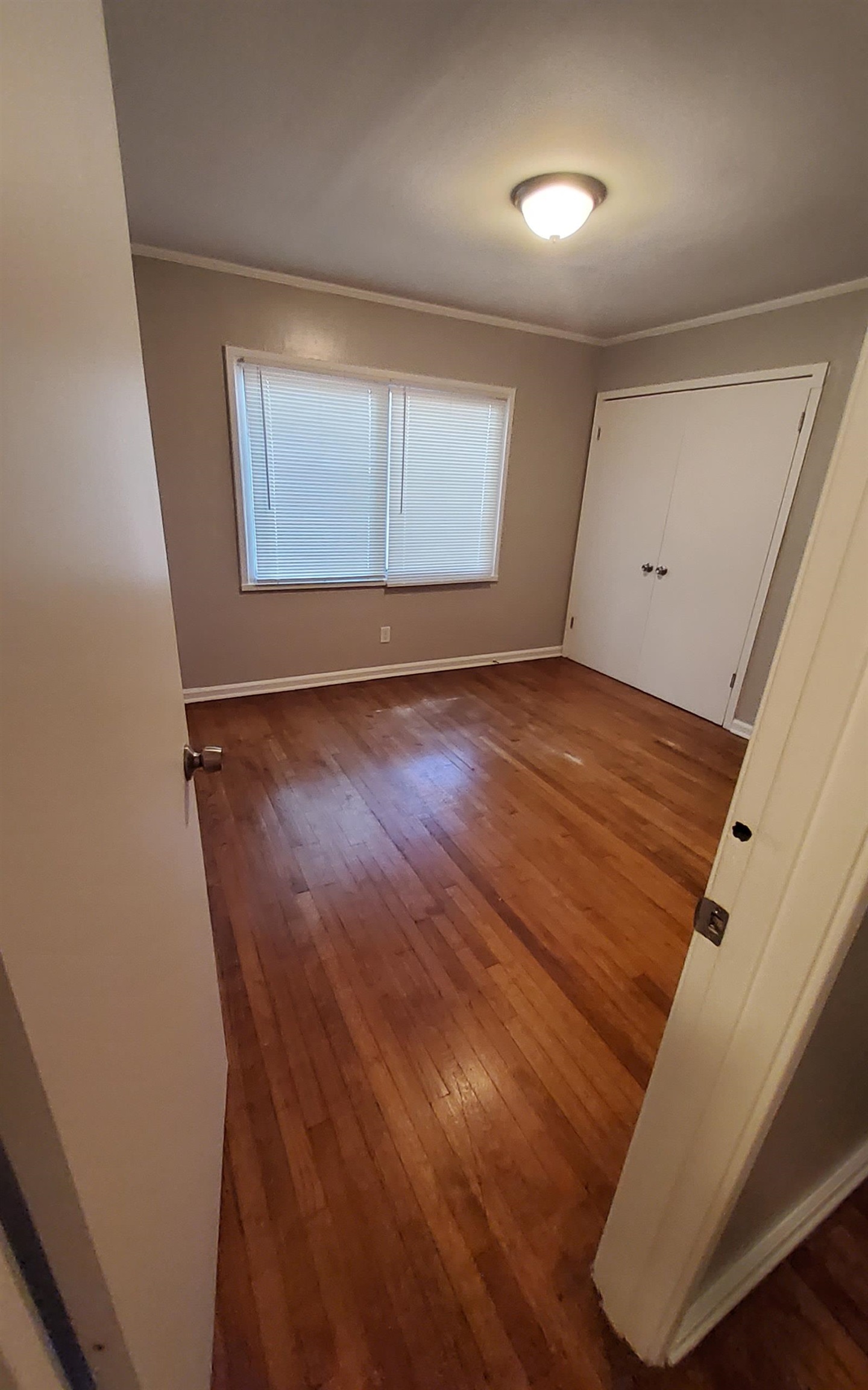 1771 Tahiti Ln Property Photo 18