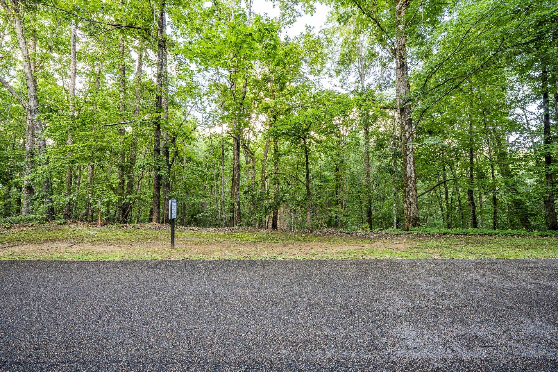 Lot 159 Anderson Hollow Rd Property Photo 22