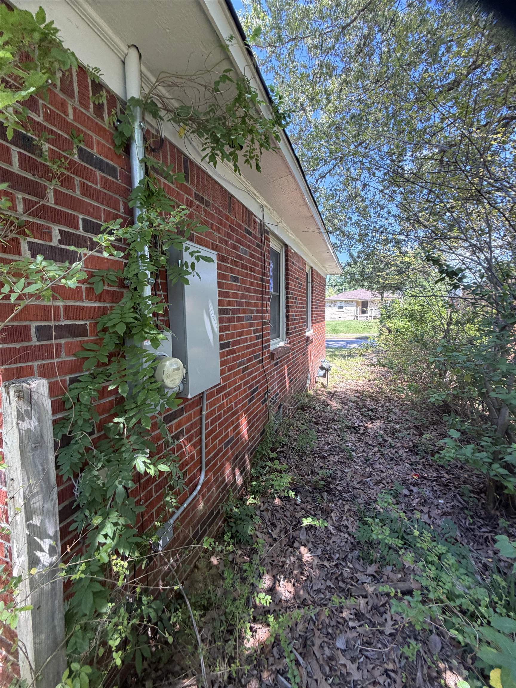 2747 Merle St Property Photo 8