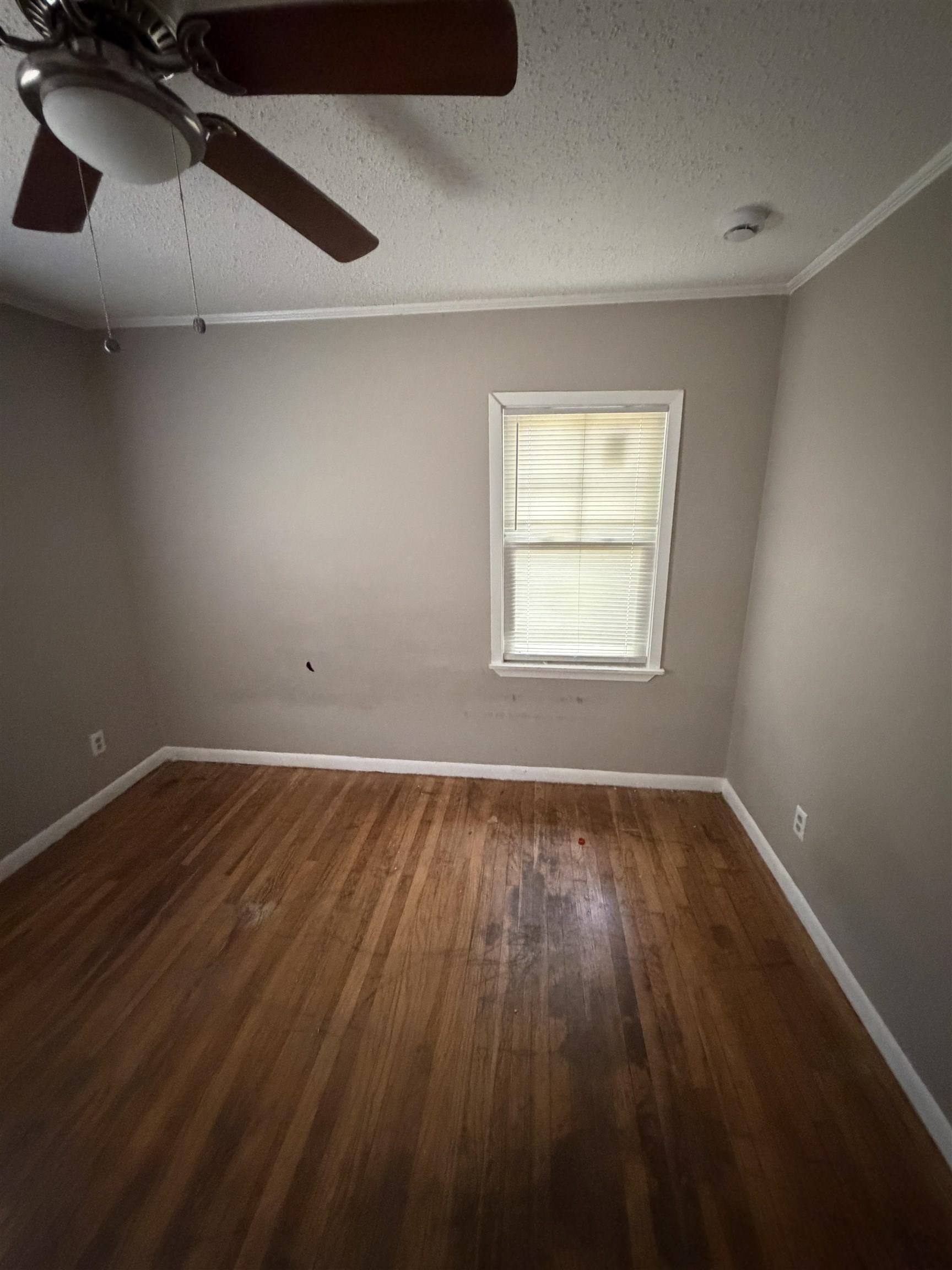 2747 Merle St Property Photo 21