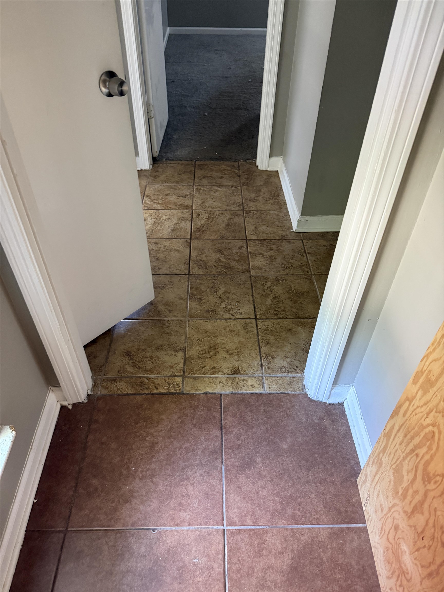 3403 Kettlebrook Cv Property Photo 18