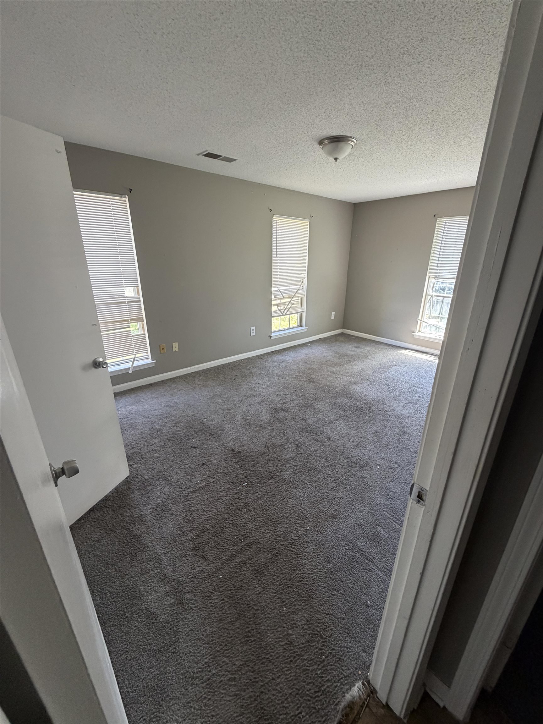 3403 Kettlebrook Cv Property Photo 19