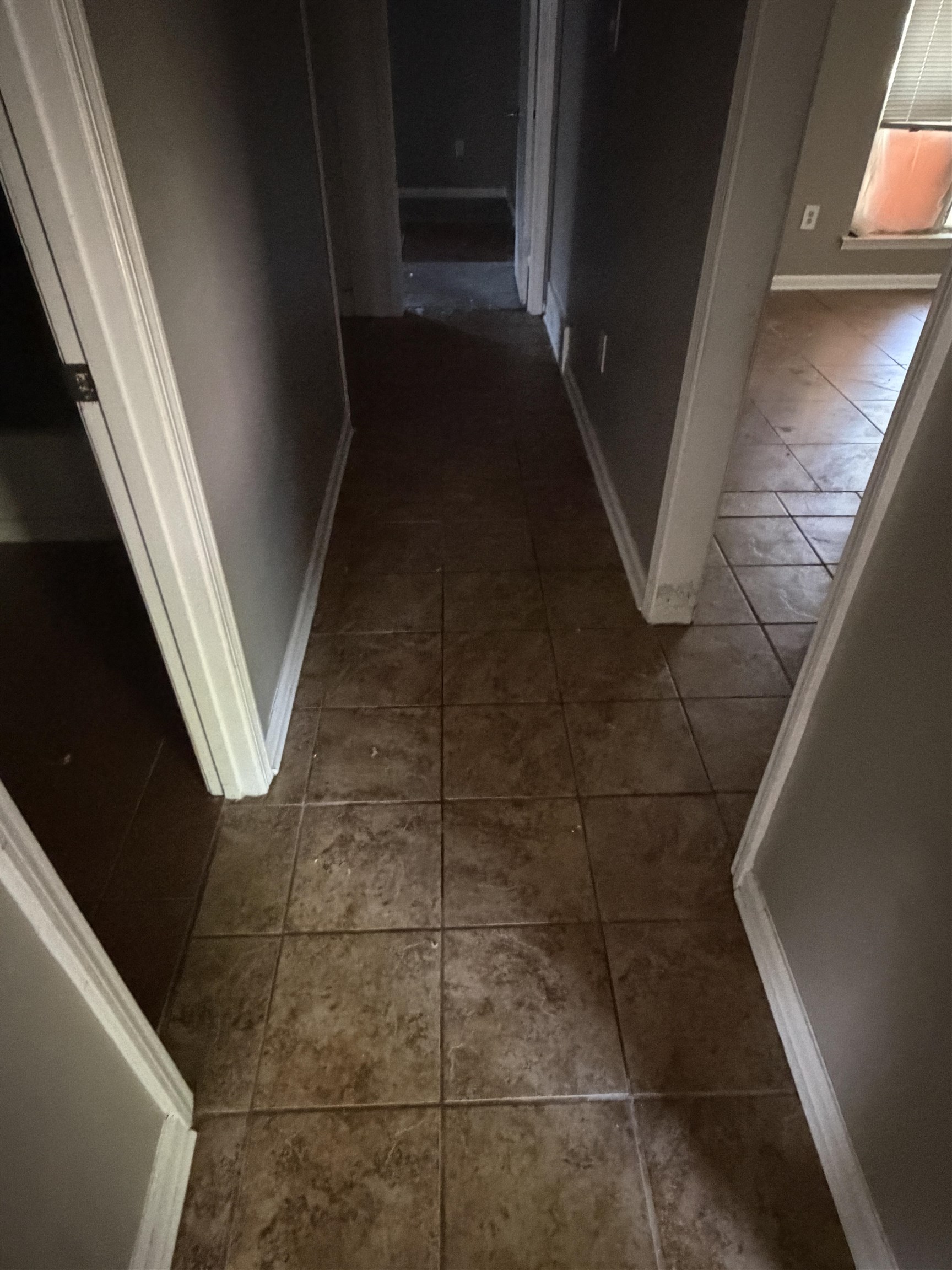 3403 Kettlebrook Cv Property Photo 20