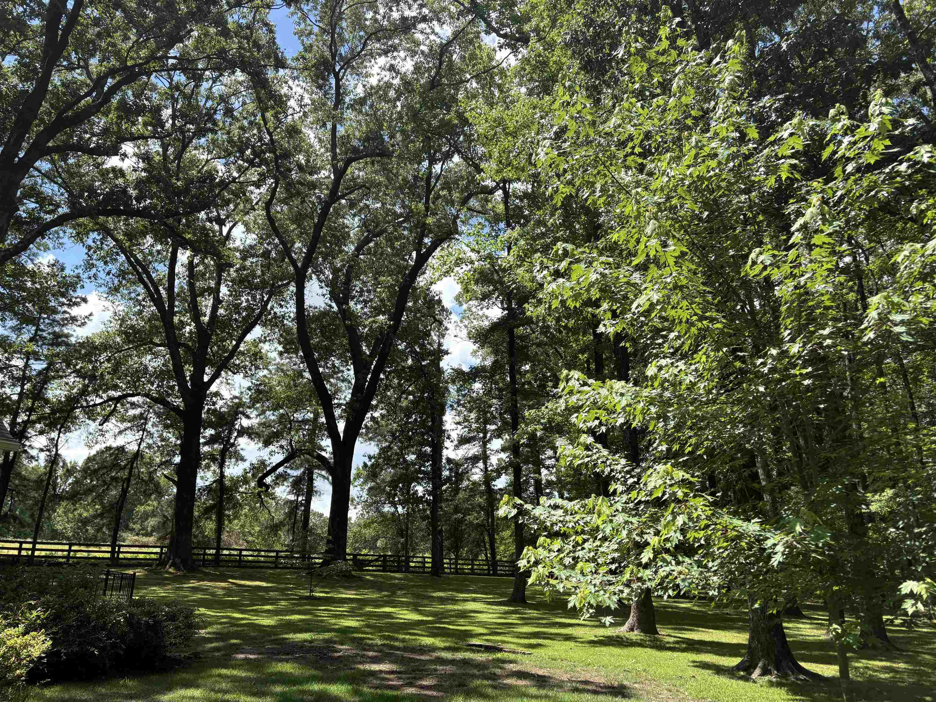 9035 Post Oak Ln Property Photo 37