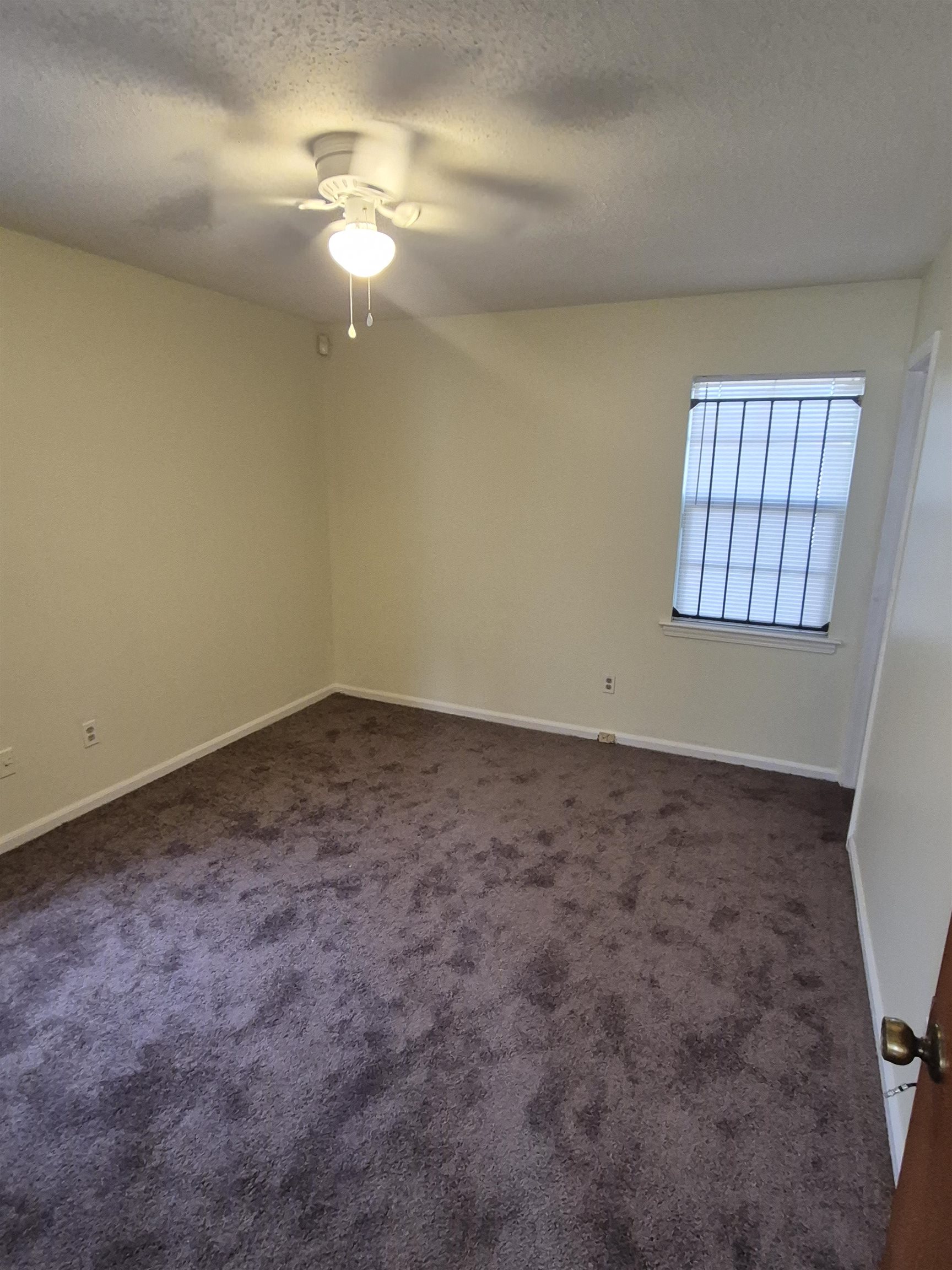 5357 Cosmos Cv Property Photo 7