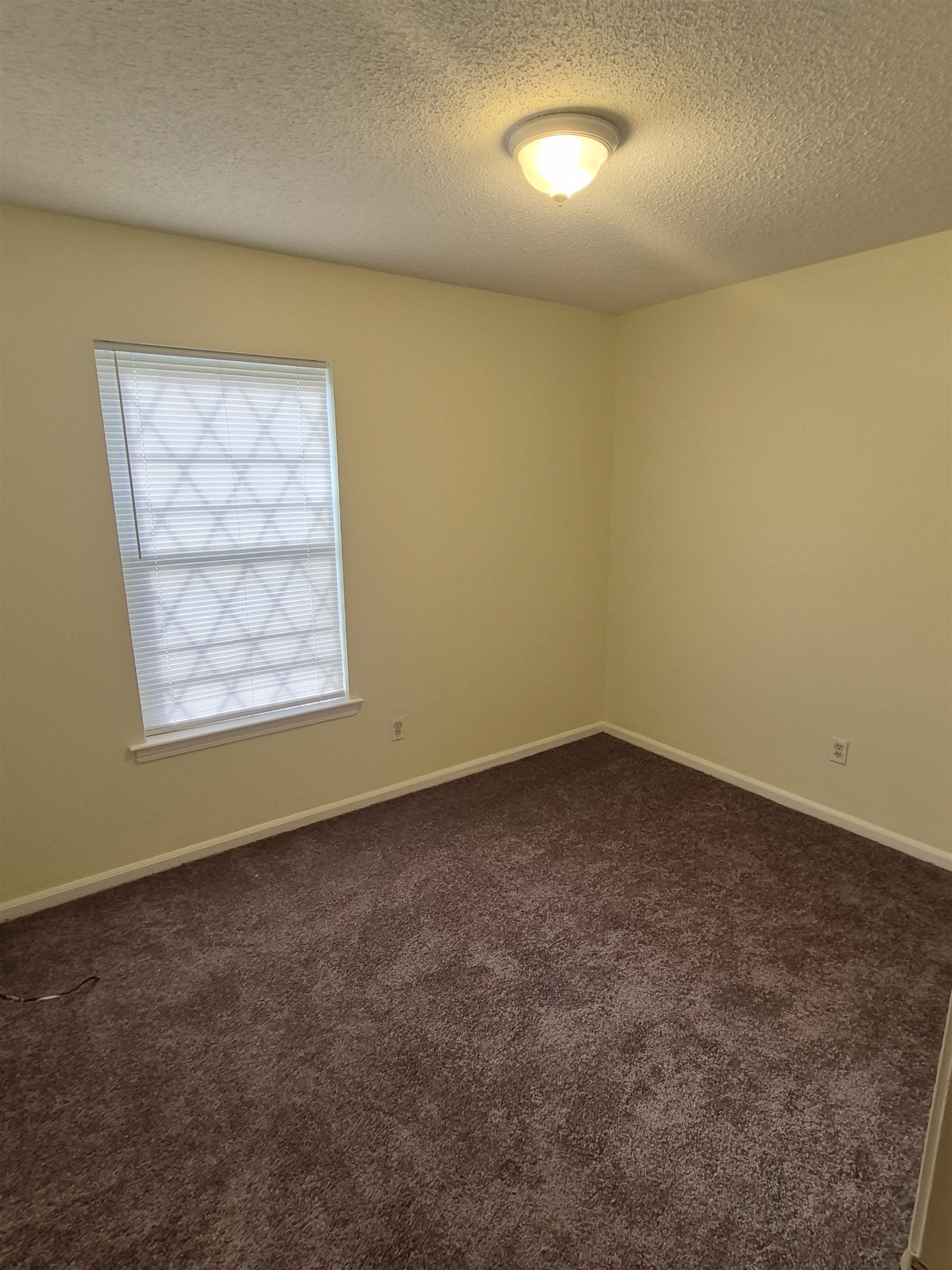 5357 Cosmos Cv Property Photo 8
