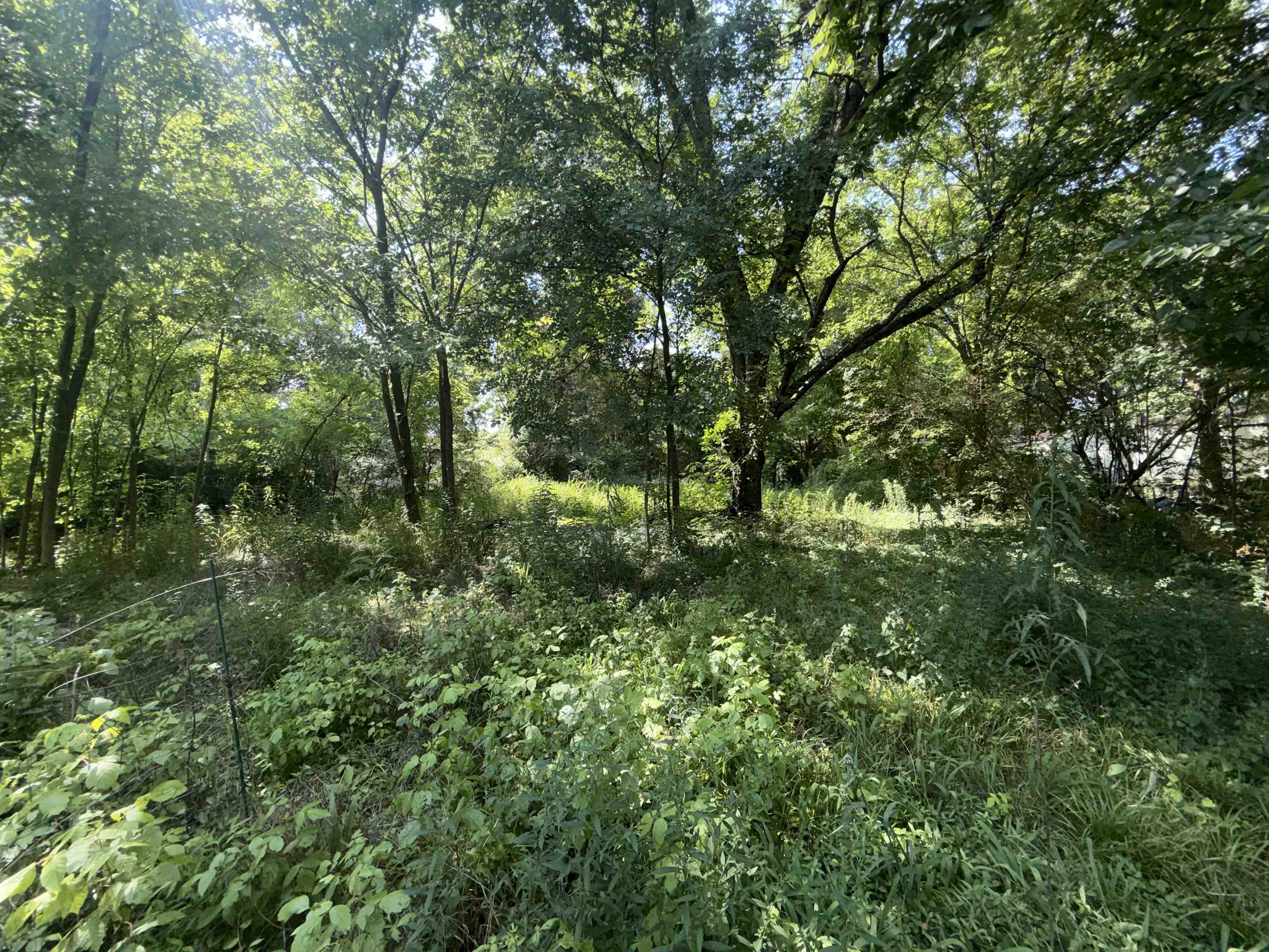 114 Hwy 70 Rd Property Photo 18