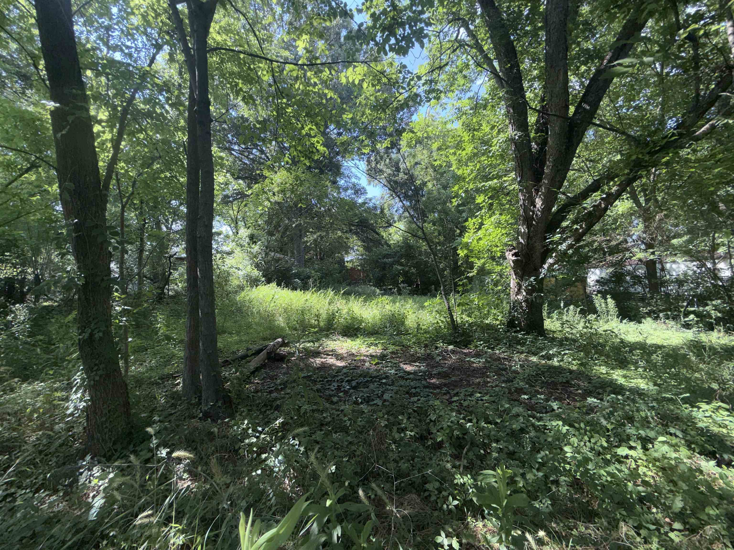 114 Hwy 70 Rd Property Photo 19