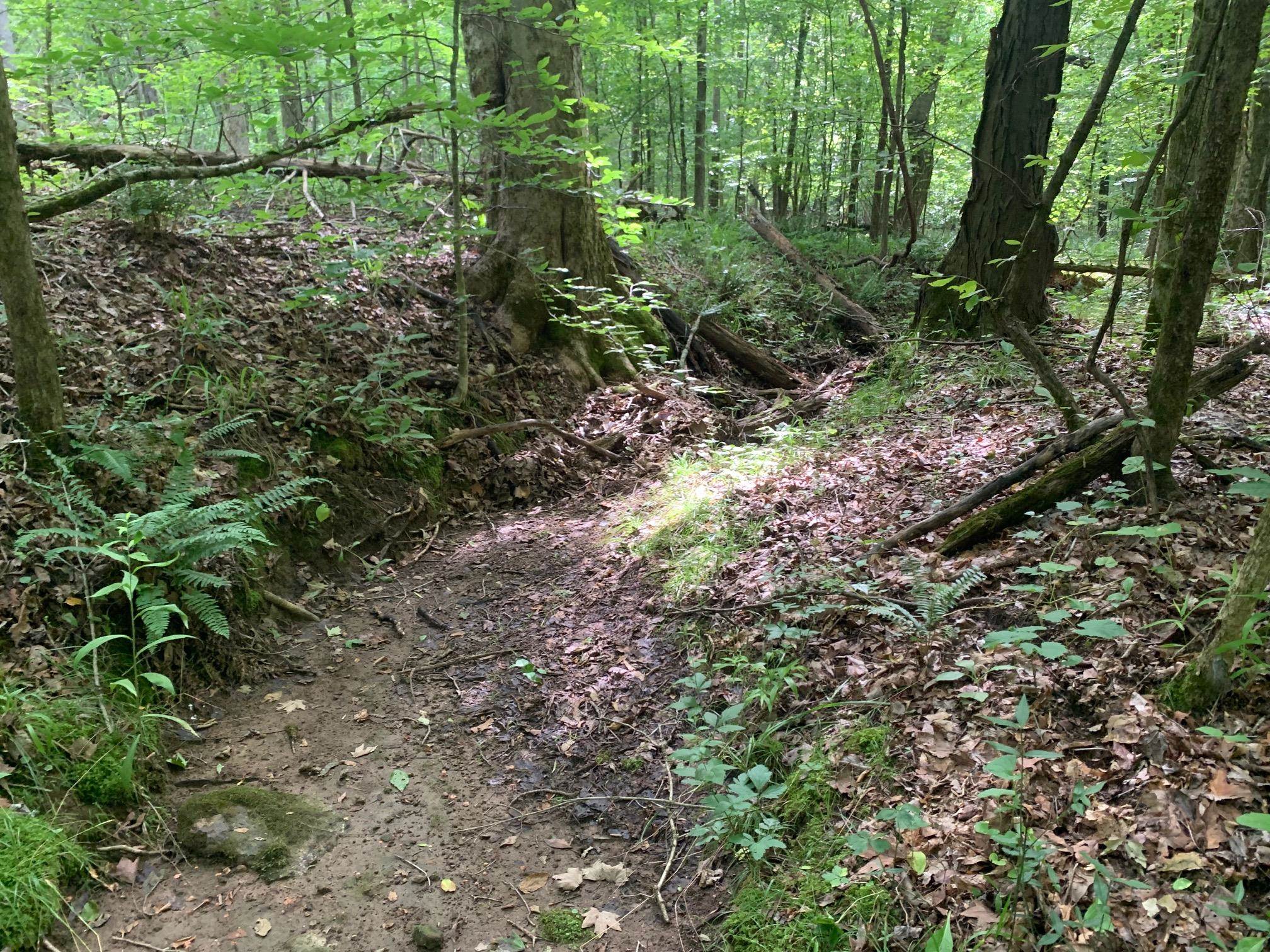 Cave Hollow Ln Property Photo 3