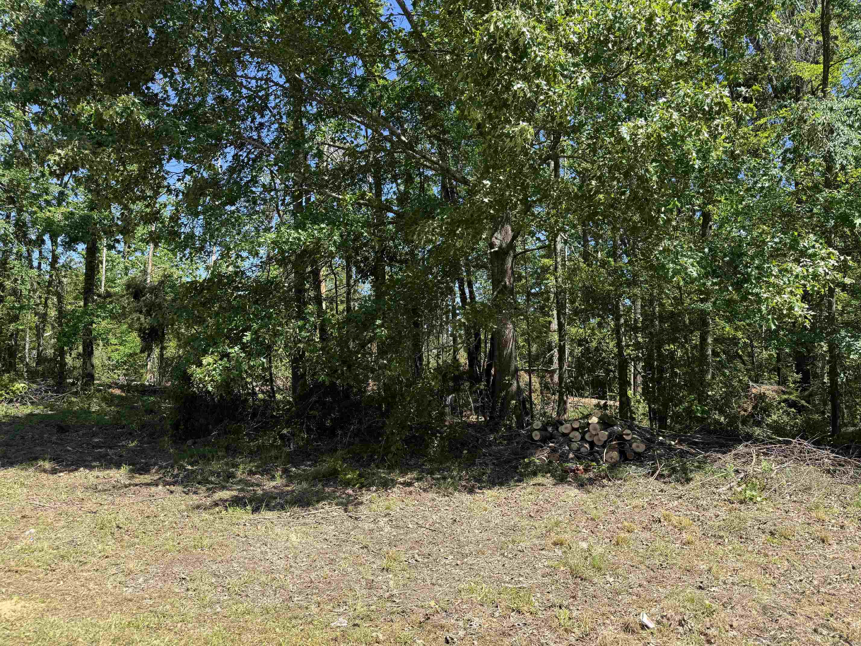 CLEMENT DR Property Photo 1
