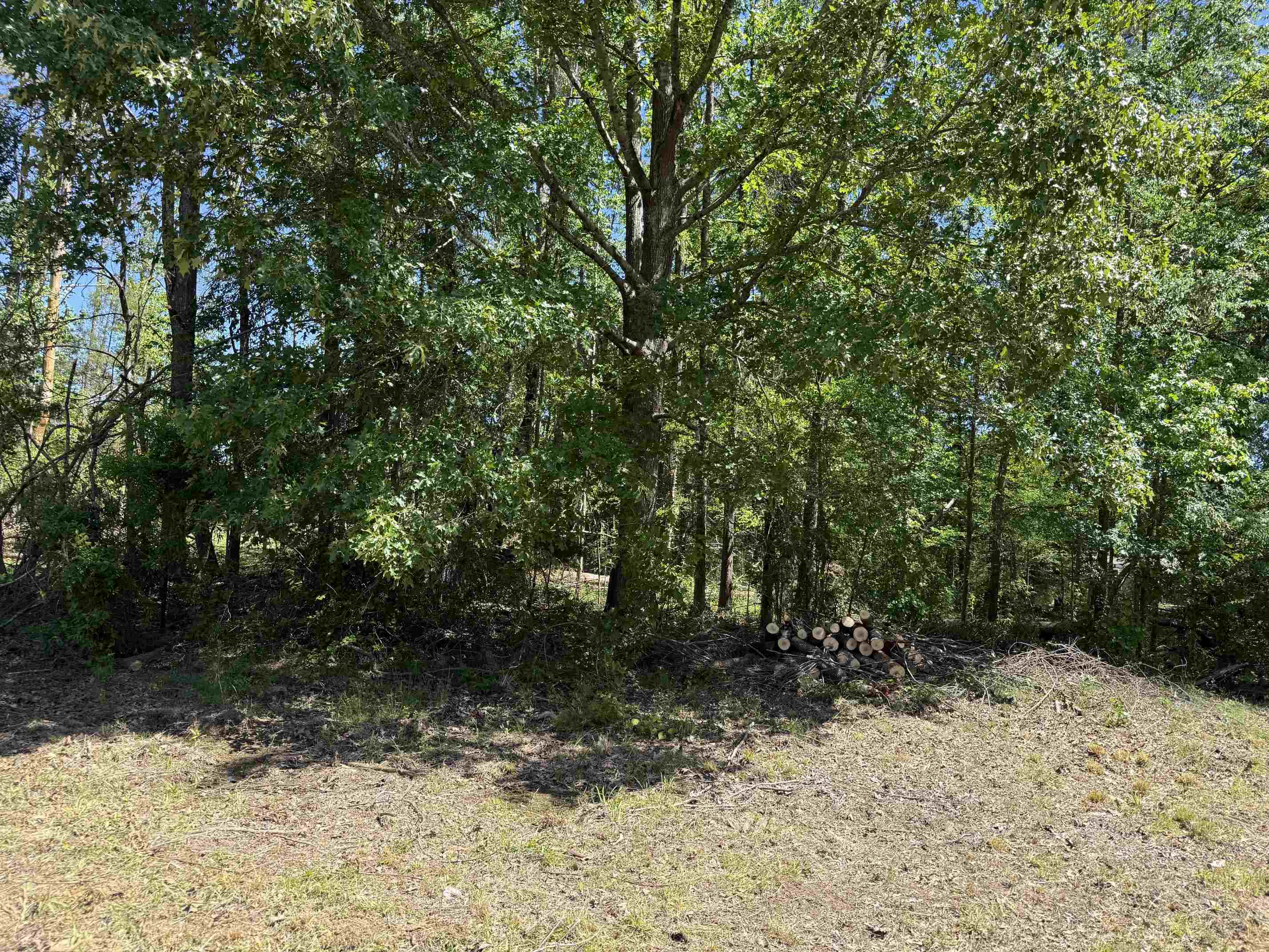 Clement Dr Property Photo 4