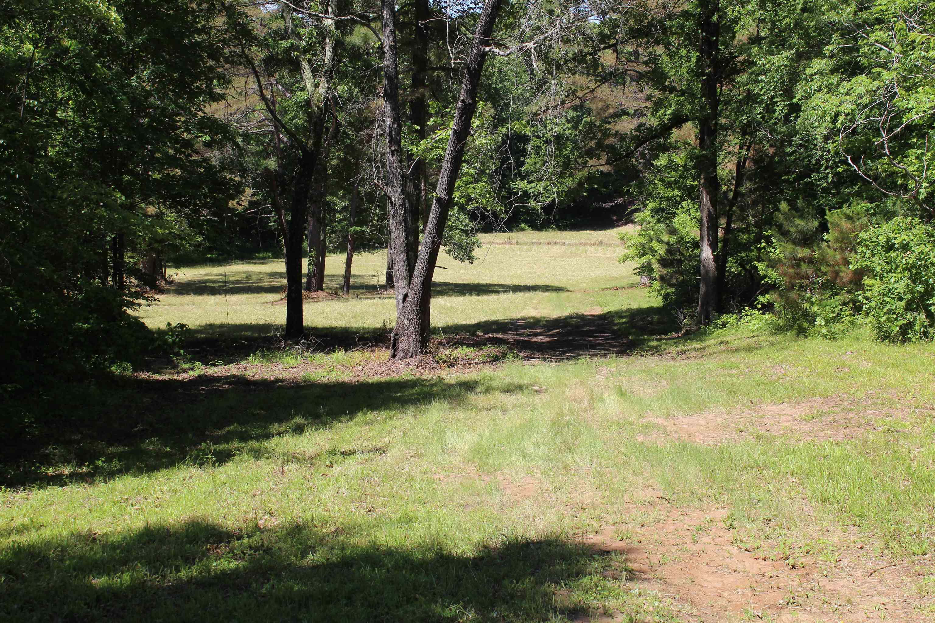 0 Silerton Rd Property Photo 11