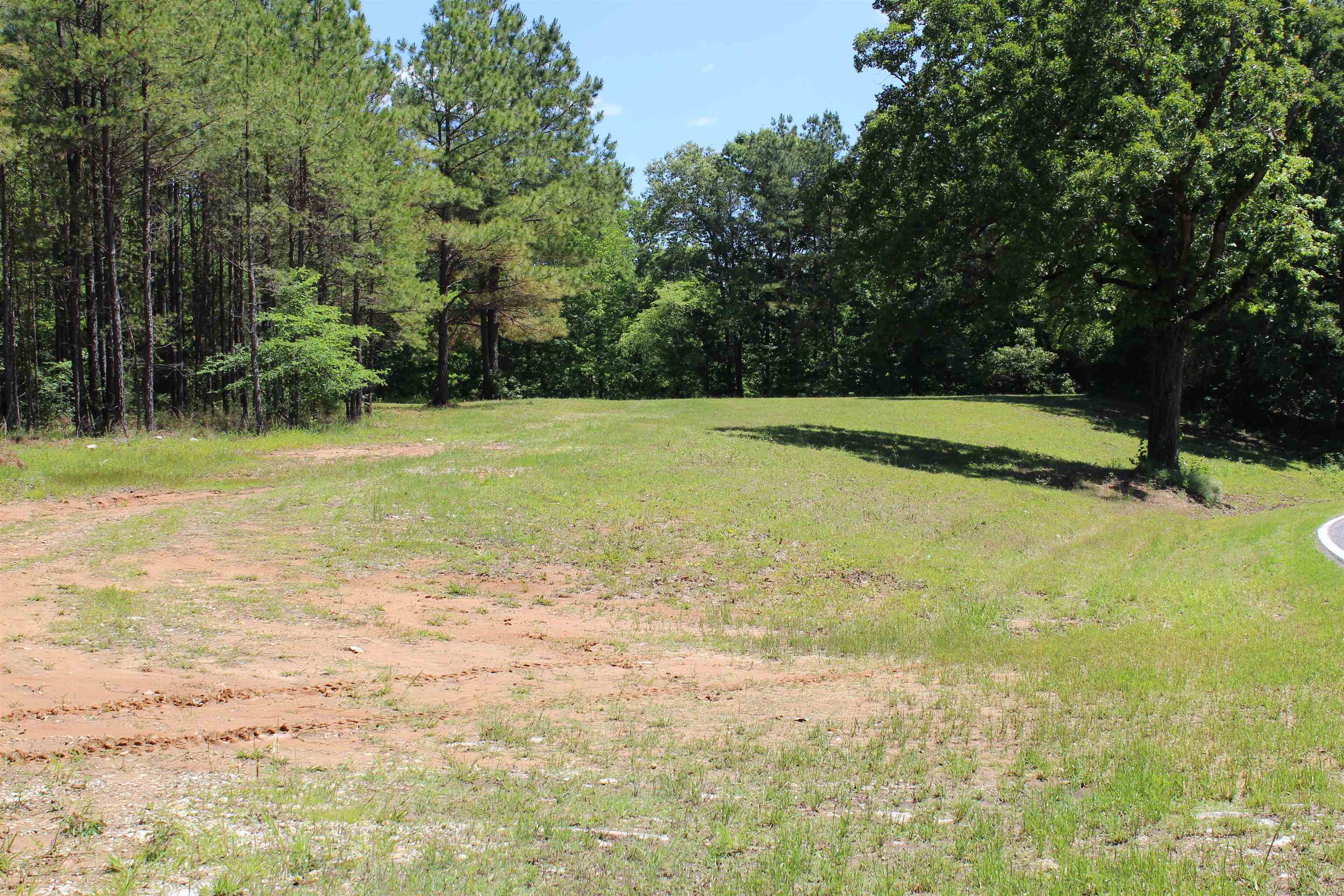 0 Silerton Rd Property Photo 14