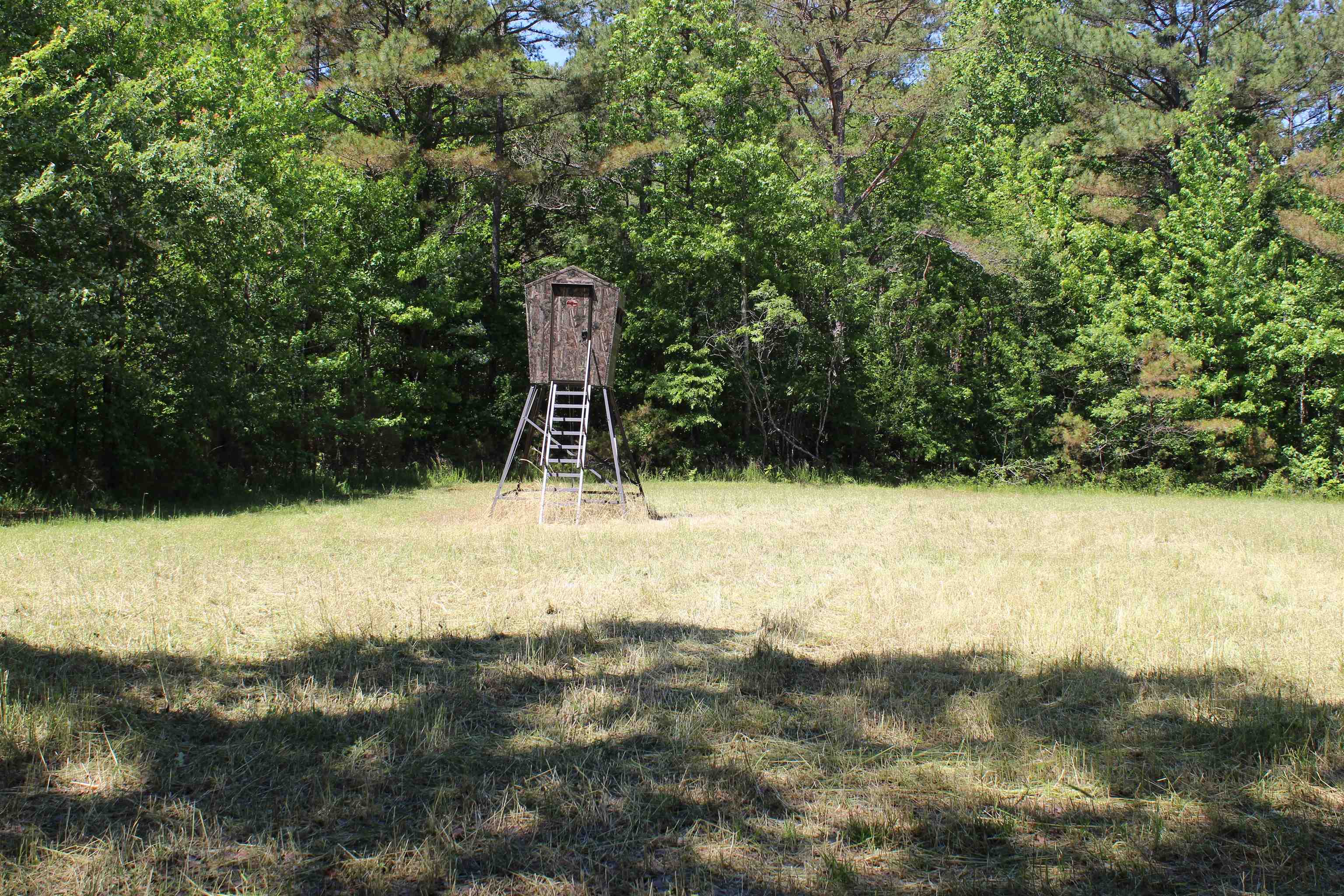 0 Silerton Rd Property Photo 19