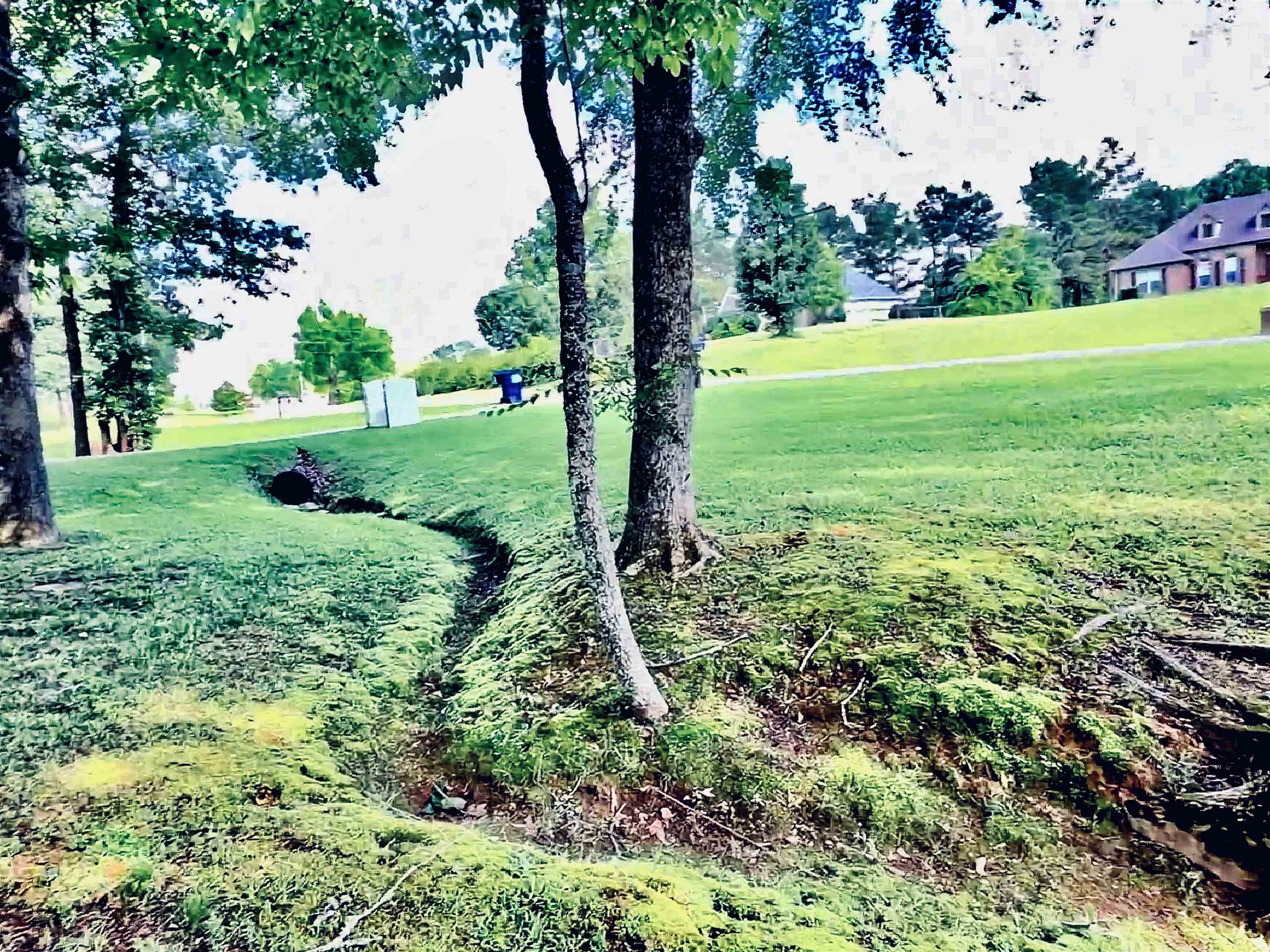 91 Cold Water Bnd Property Photo 36