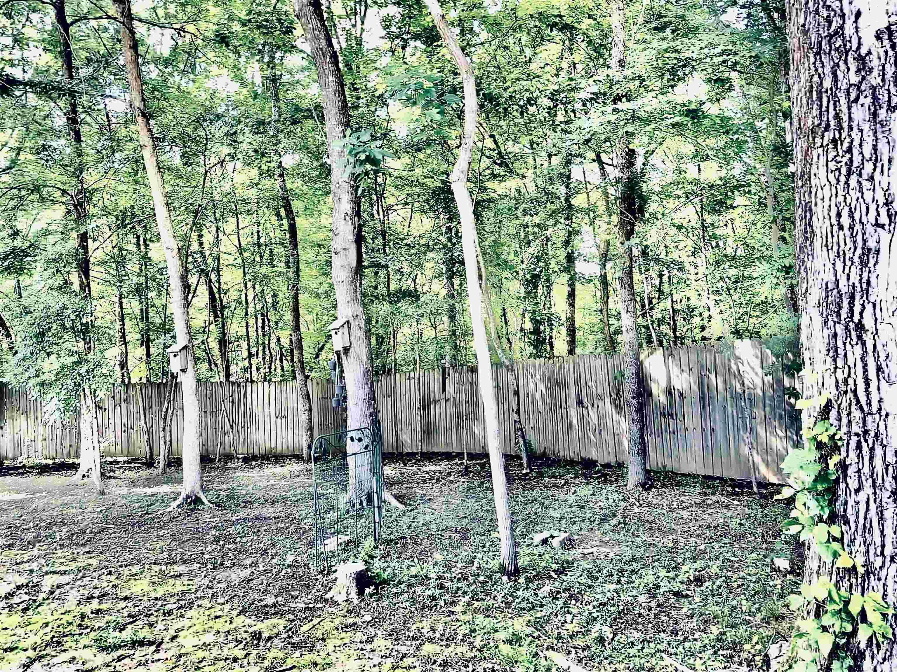 91 Cold Water Bnd Property Photo 37