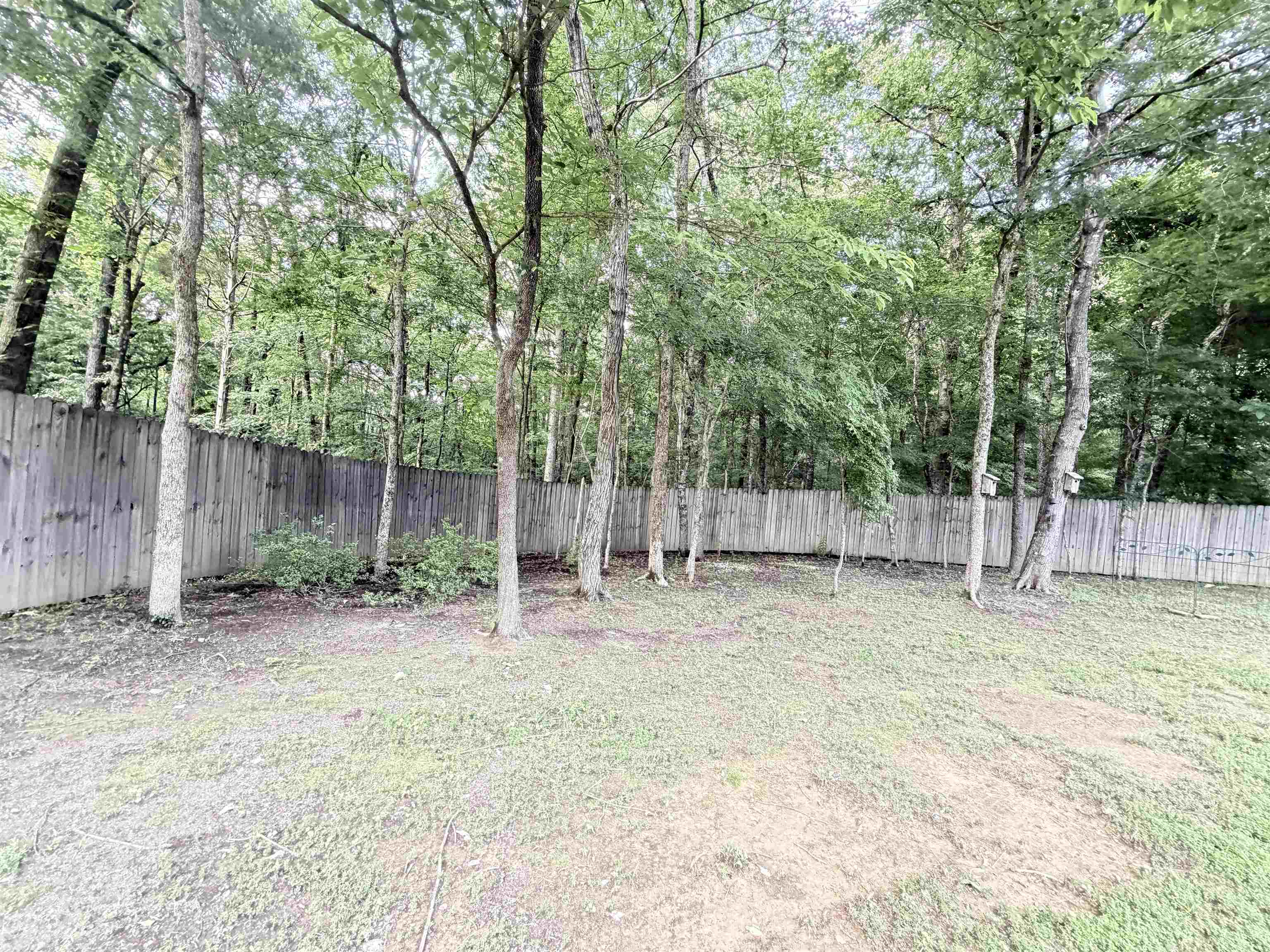 91 Cold Water Bnd Property Photo 39