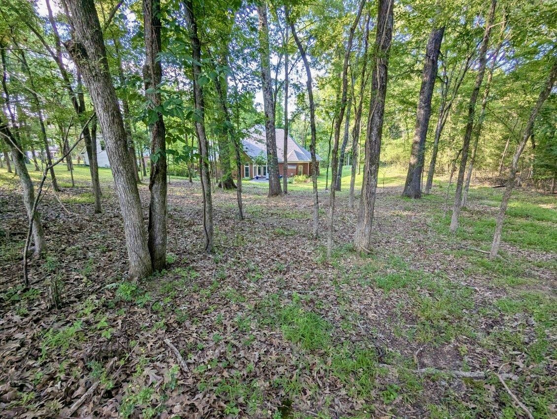 12525 Walnut Grove Rd Property Photo 36