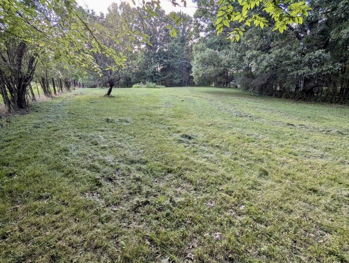 12525 Walnut Grove Rd Property Photo 37