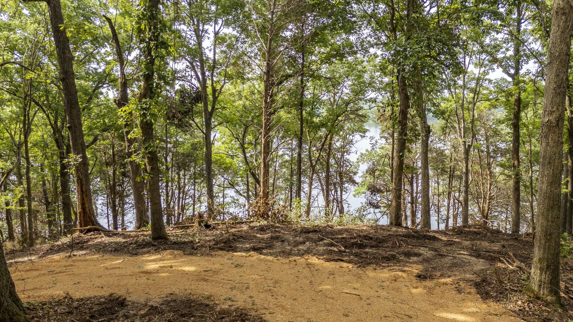 Nells Knob Cv Property Photo 16
