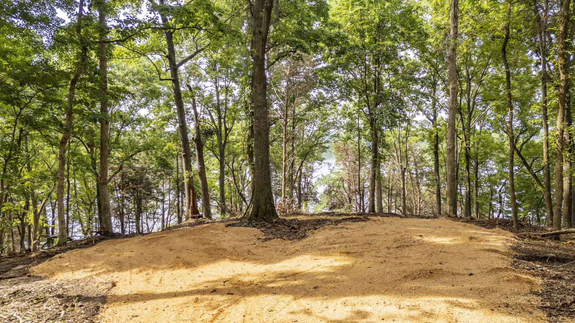 Nells Knob Cv Property Photo 18