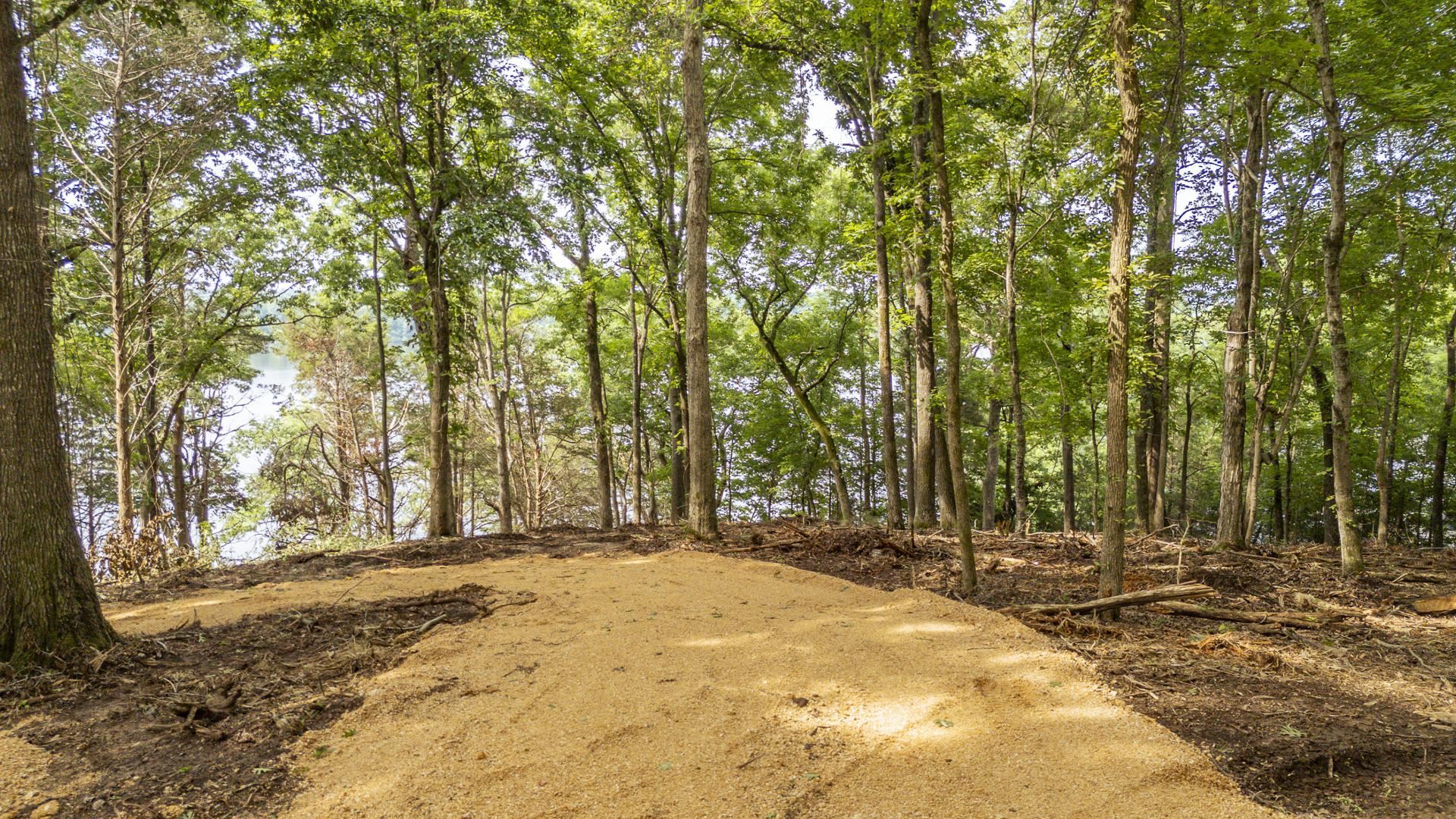 Nells Knob Cv Property Photo 19