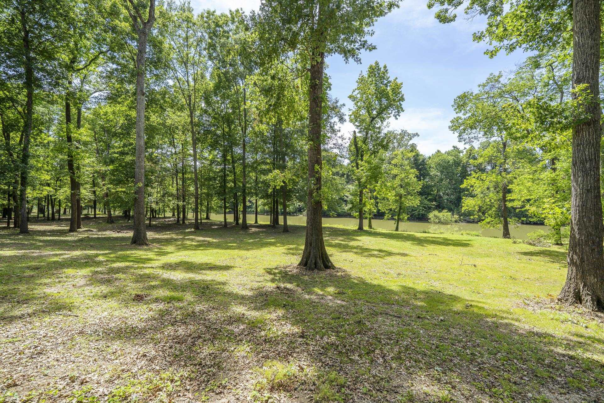 540 Teal Ln Property Photo 13