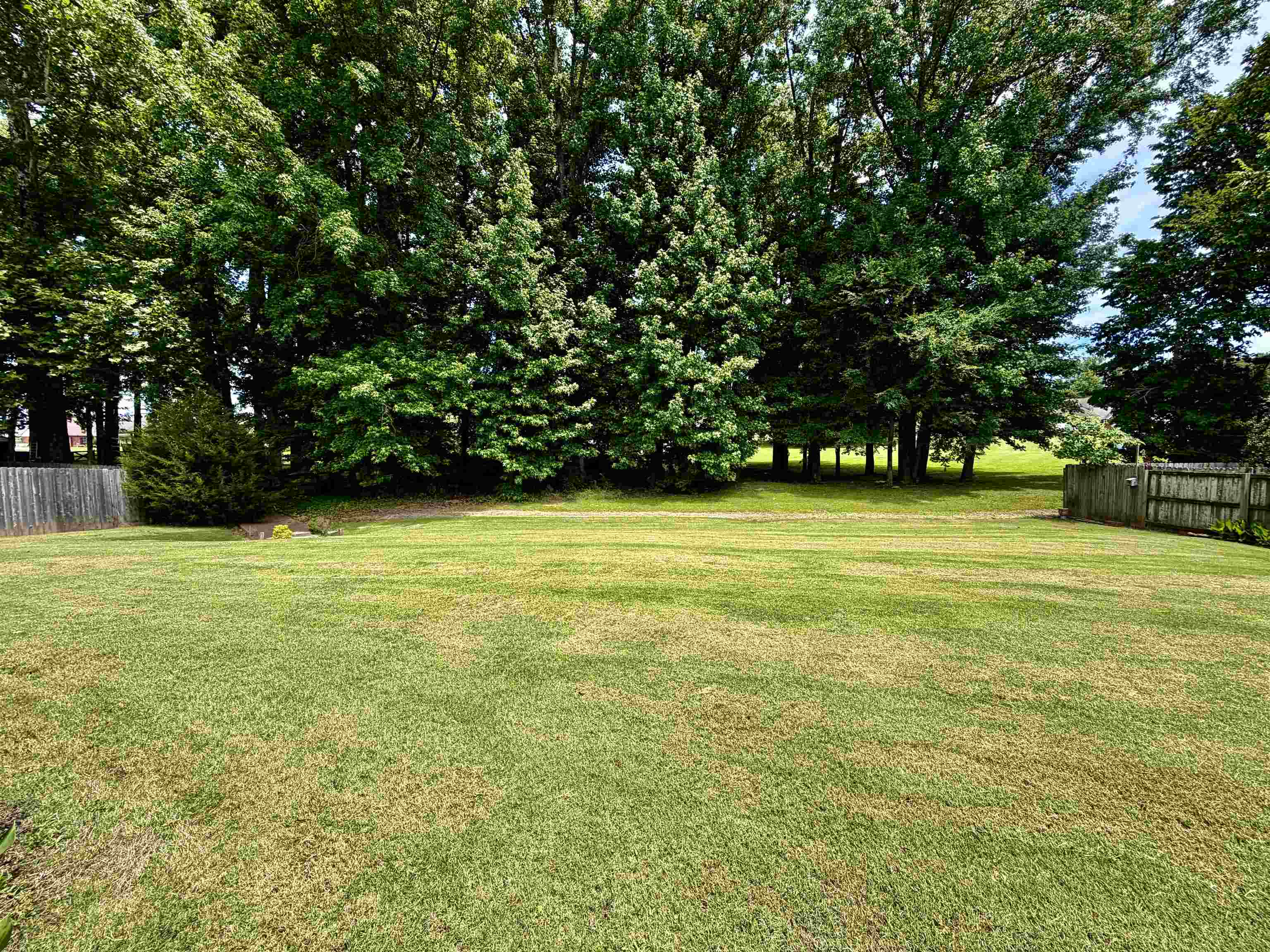 65 Burton Place Dr Property Photo 29