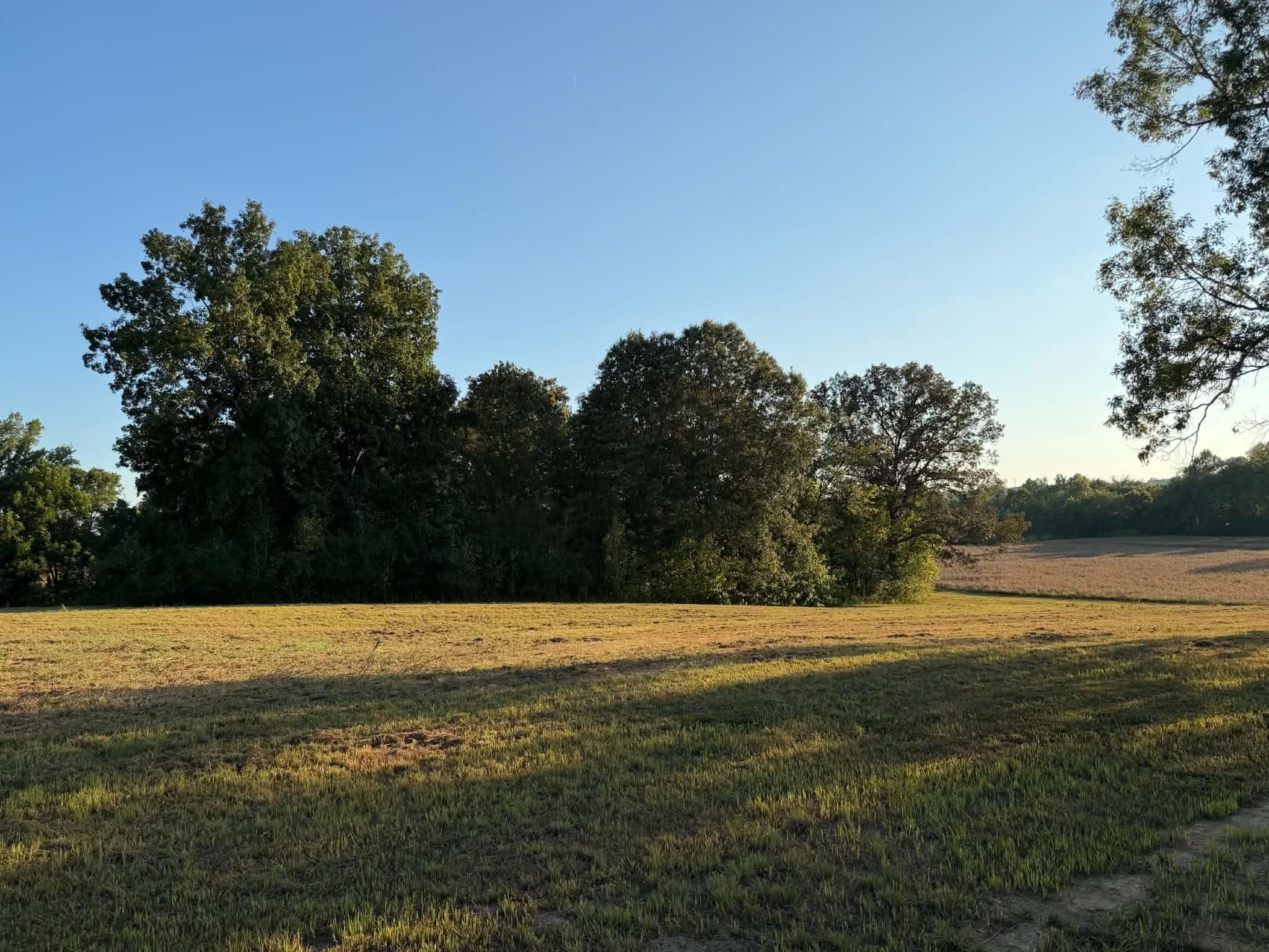 2380 Watkins Dr Property Photo 2