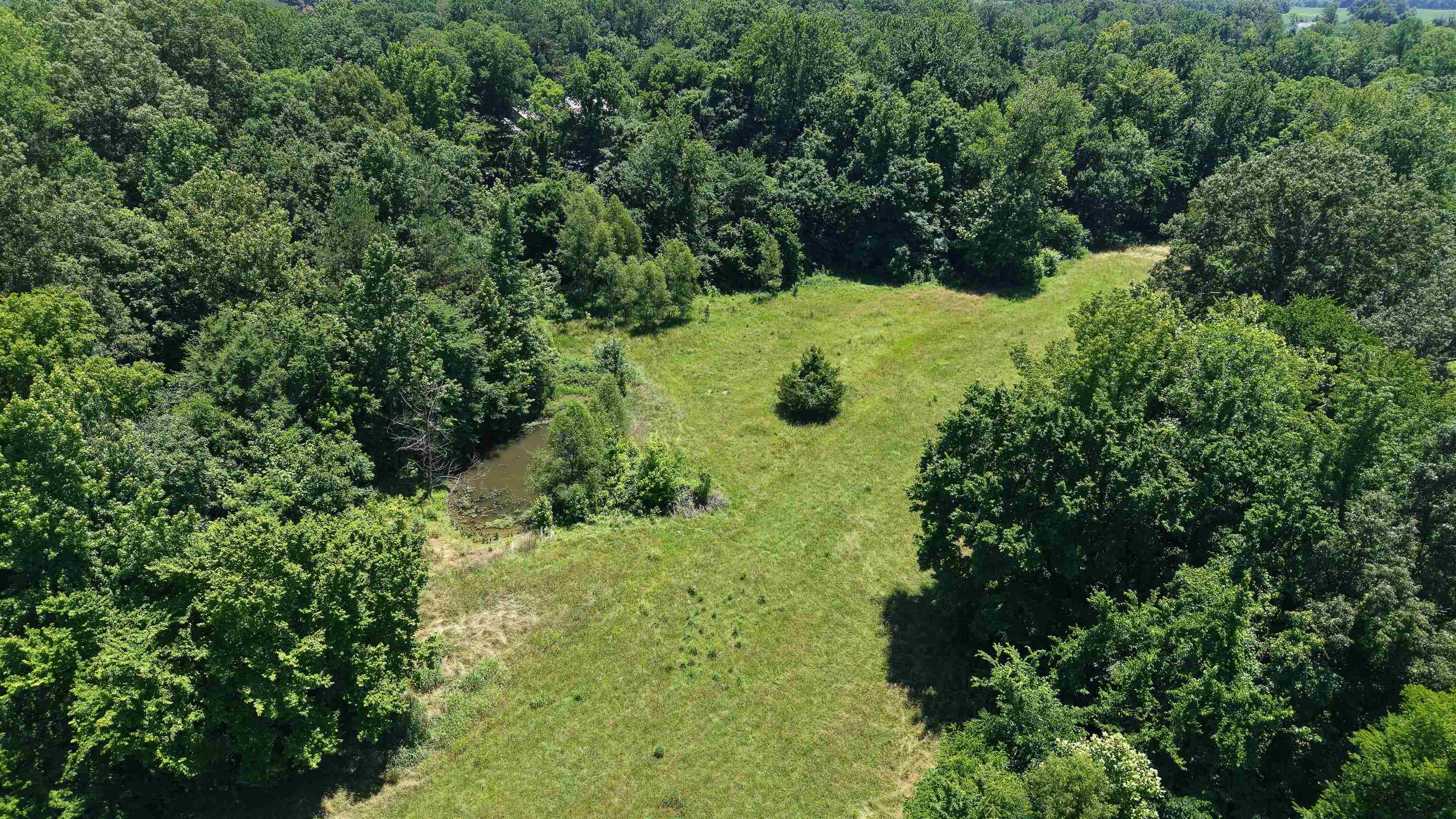 000 Holly Grove Rd Property Photo 13