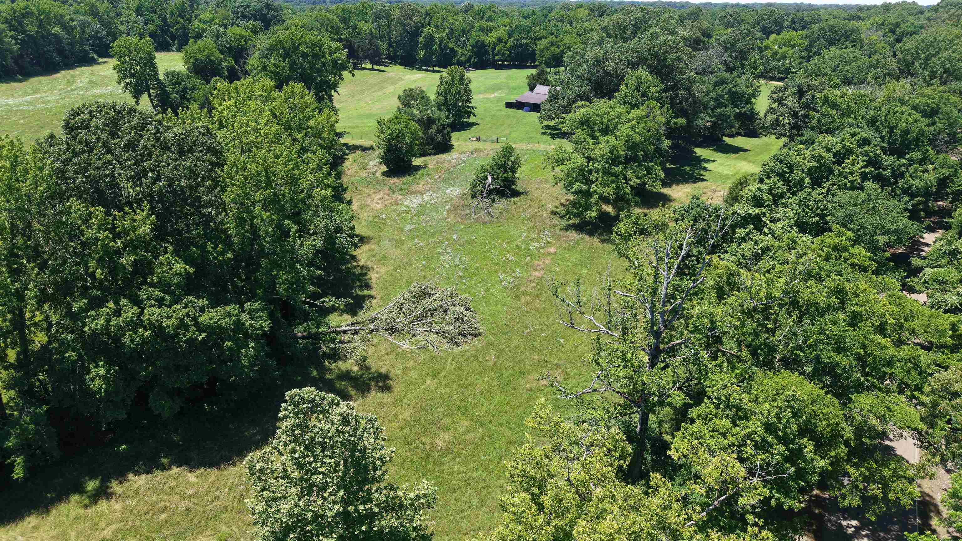 000 Holly Grove Rd Property Photo 14