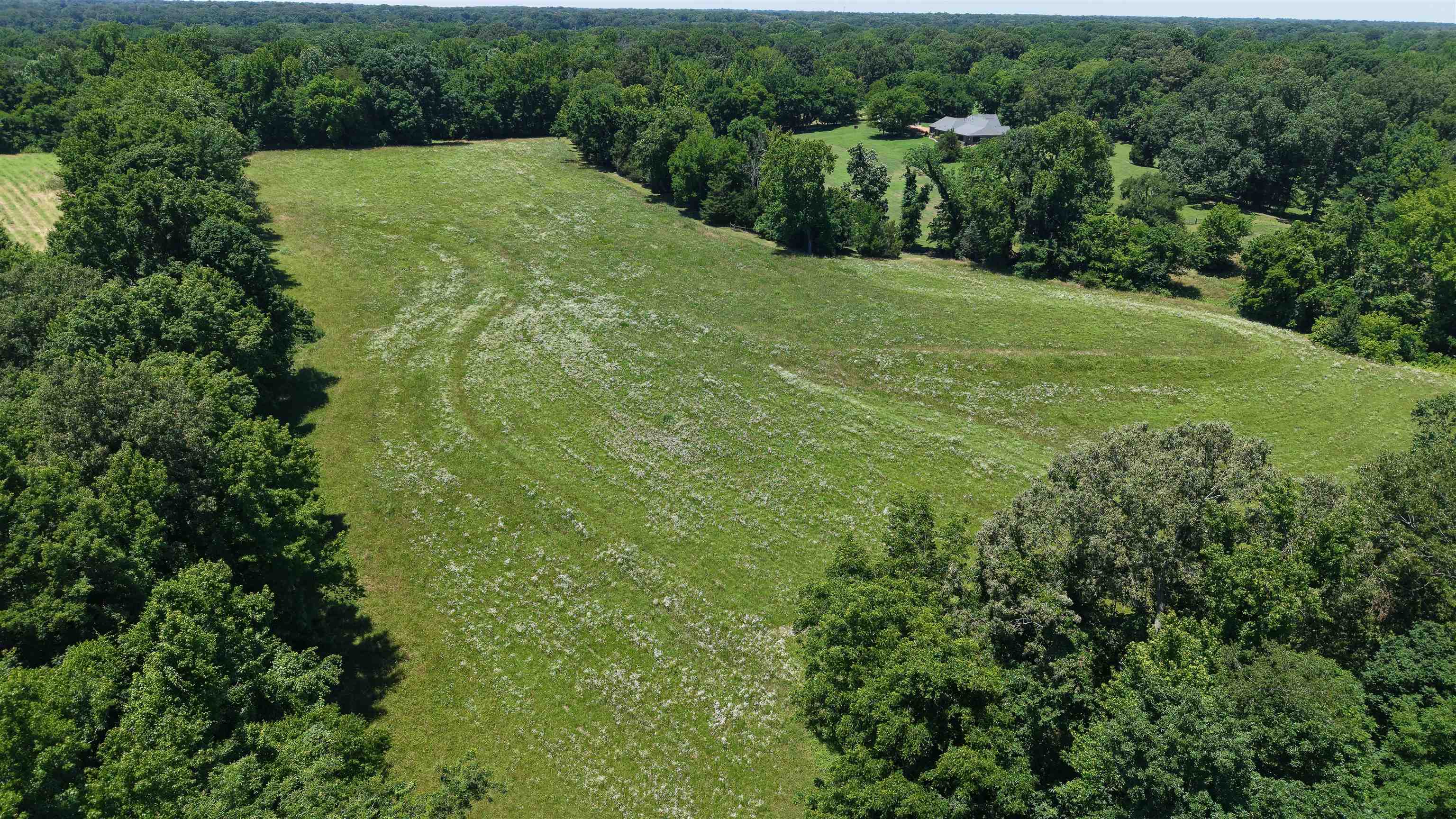 000 Holly Grove Rd Property Photo 15