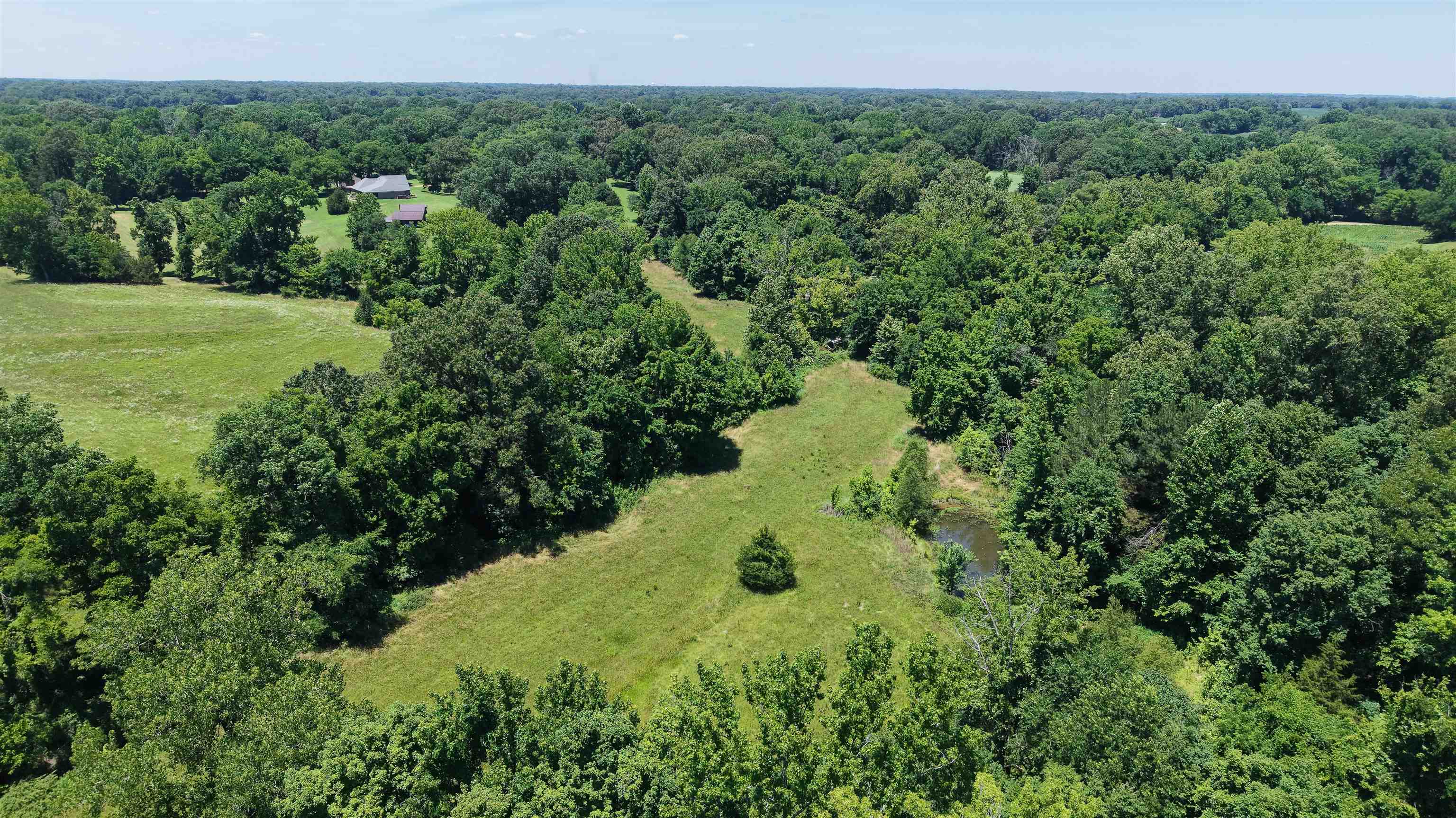 000 Holly Grove Rd Property Photo 19