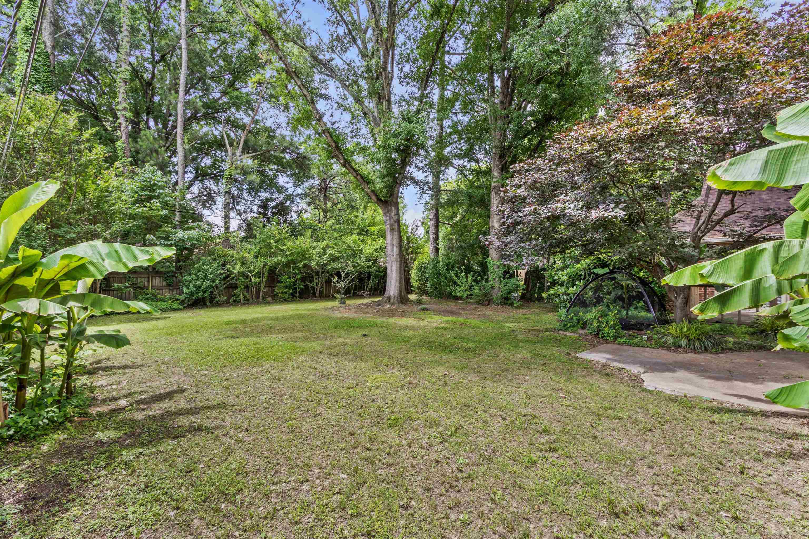7009 Rocky Creek Dr Property Photo 22
