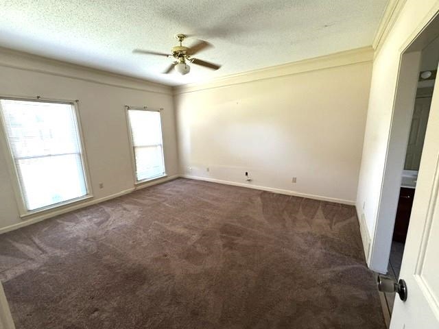 3376 Sara Woods Dr Property Photo 8