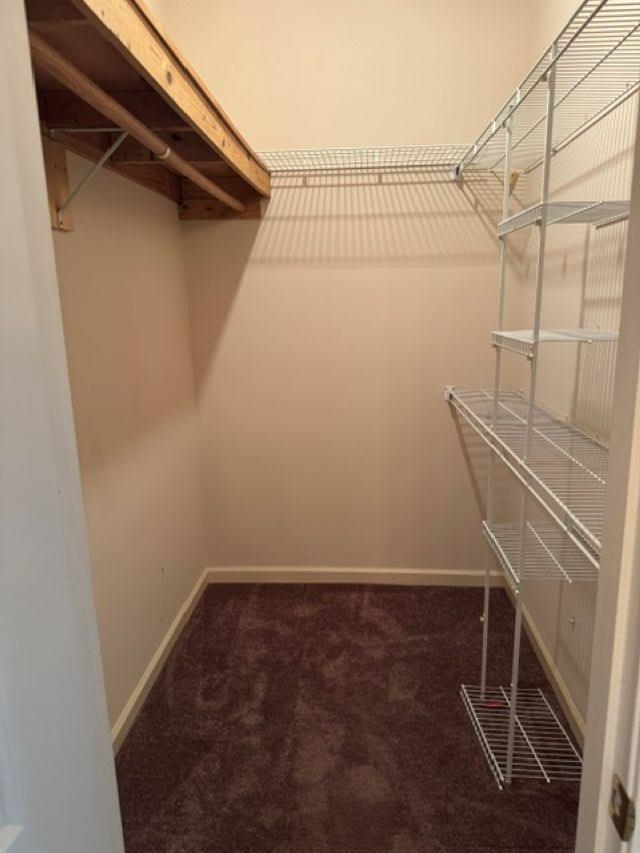 3376 Sara Woods Dr Property Photo 11
